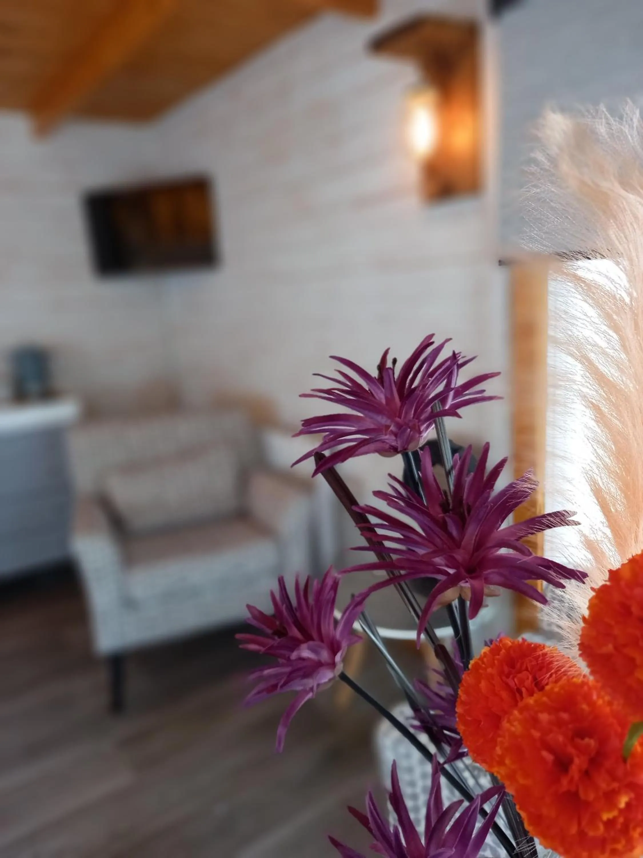 Other in Sandy Toes Accommodation