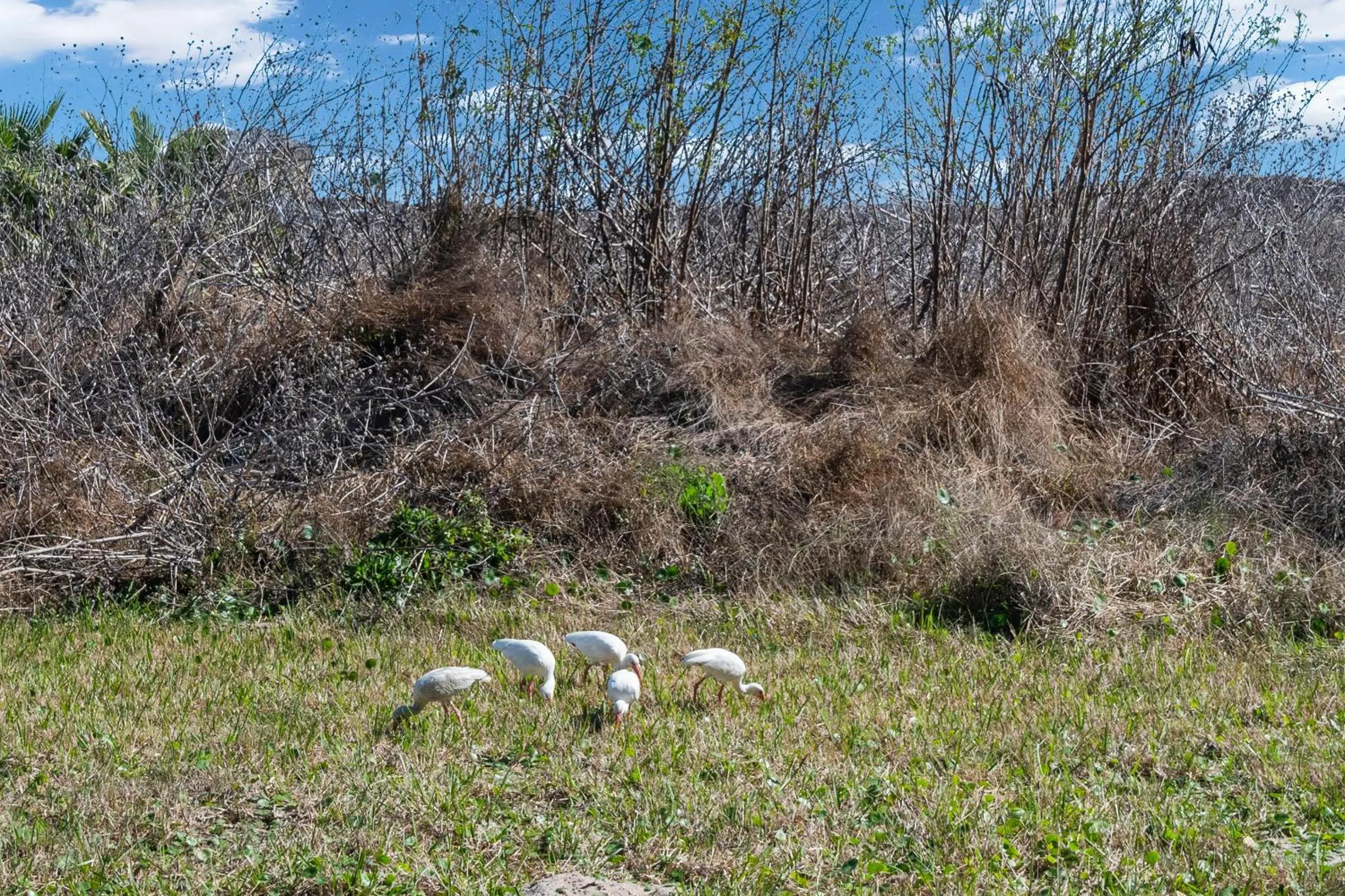 Other in Port A Landing PP745