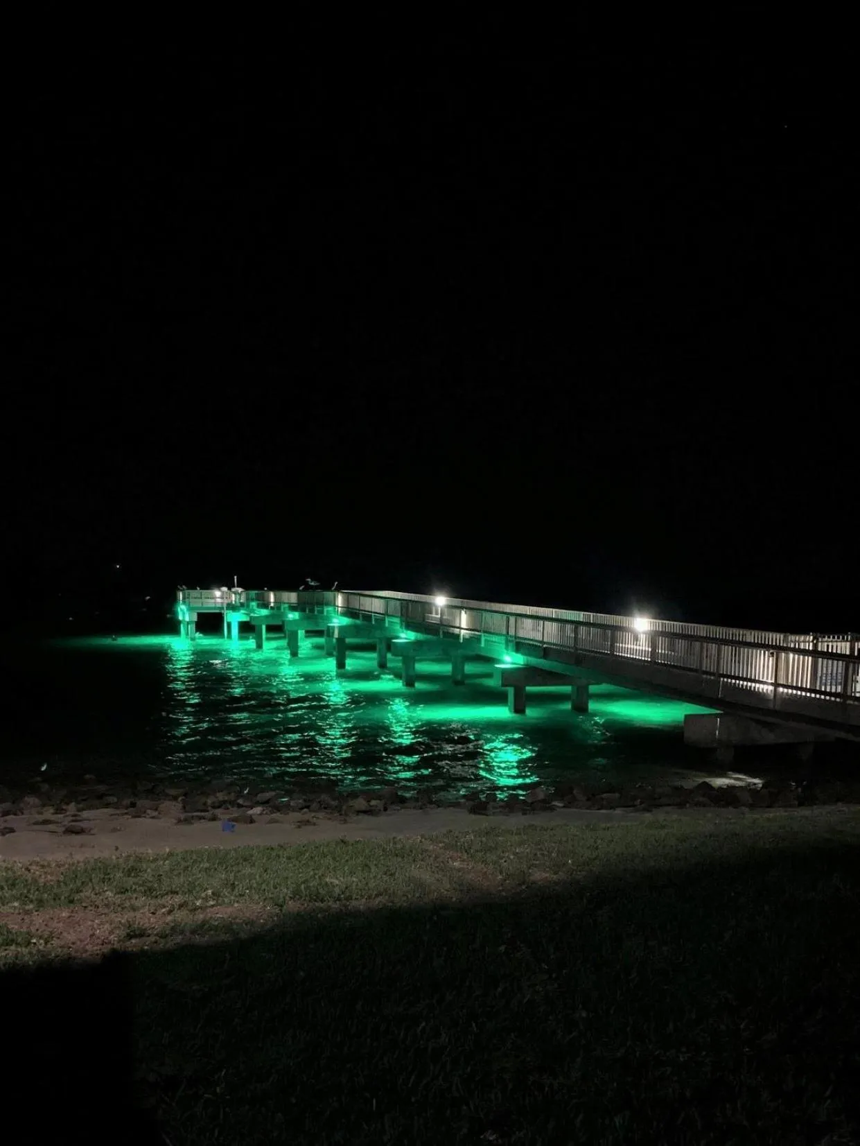 Other in Channelview CV213