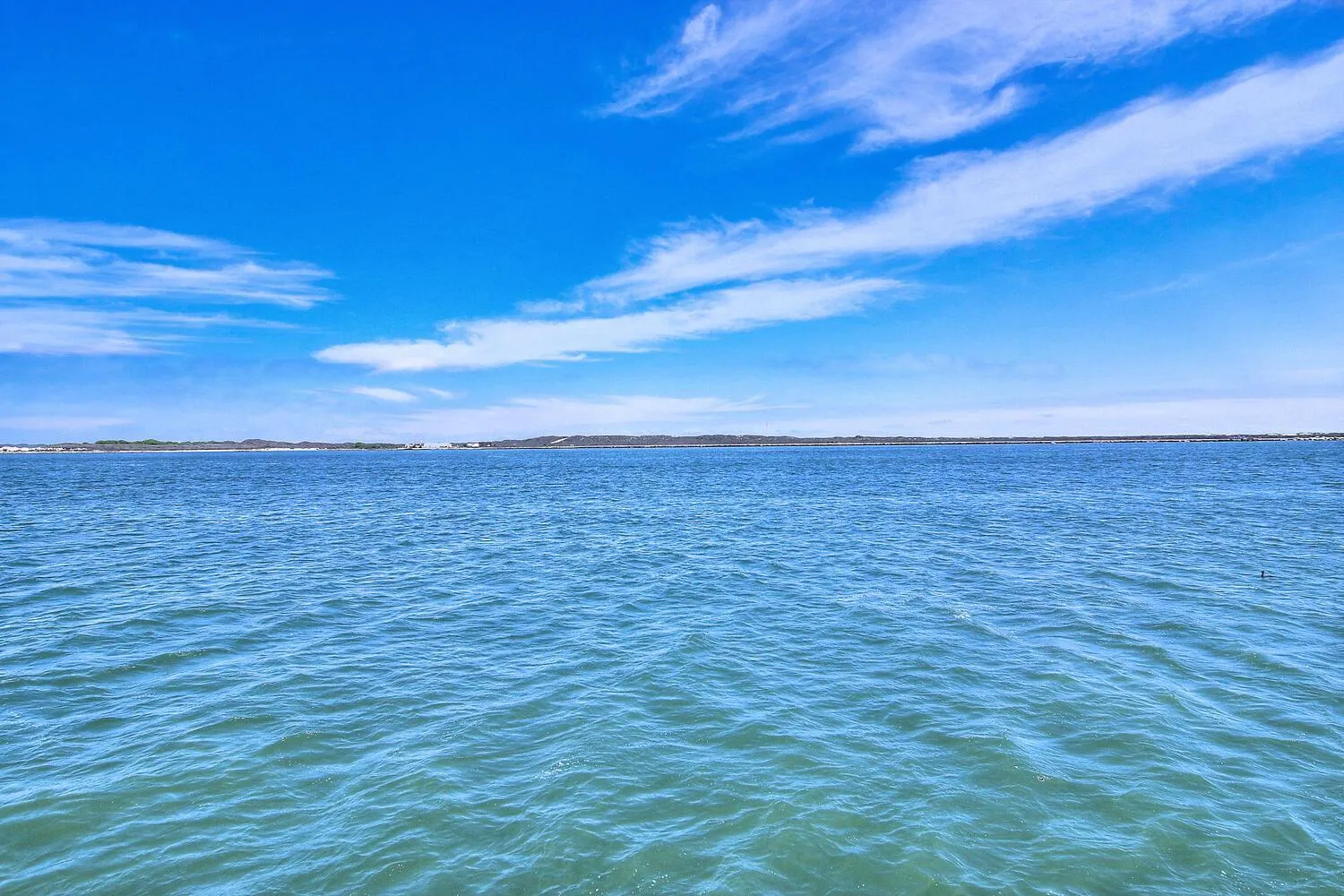 Other in Channelview CV216