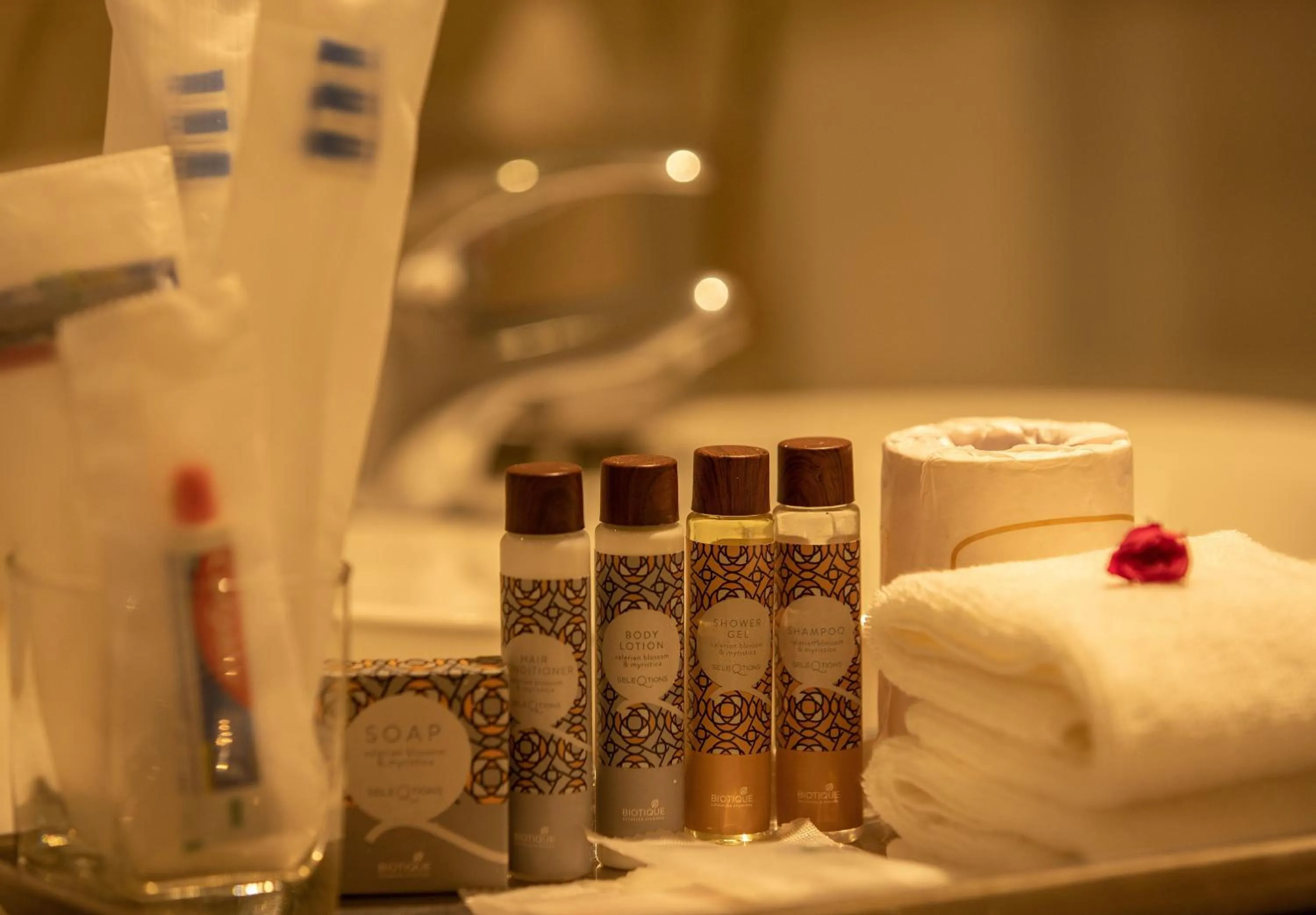 Solarium in Savoy - IHCL SeleQtions