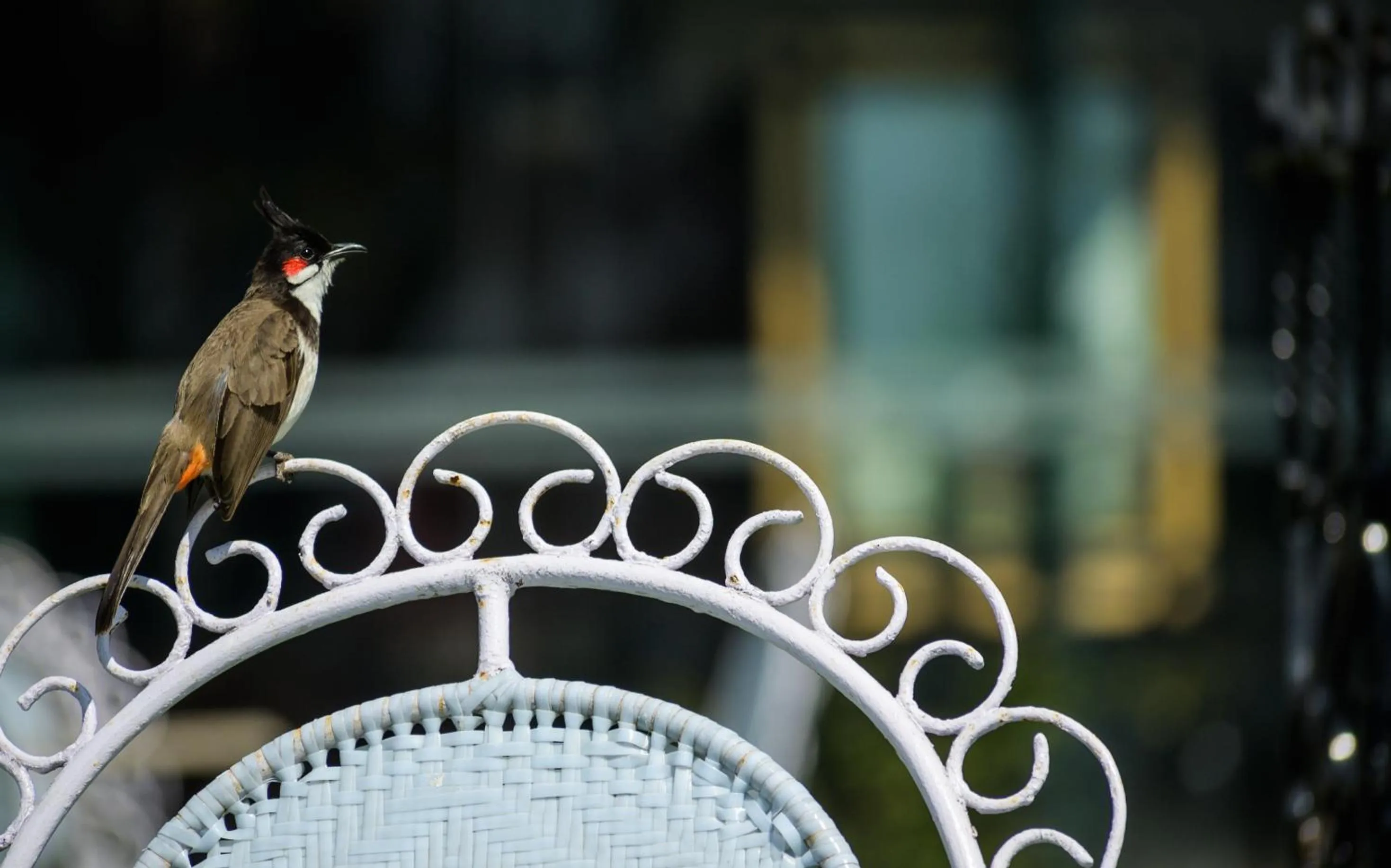 Bird's eye view in Savoy - IHCL SeleQtions