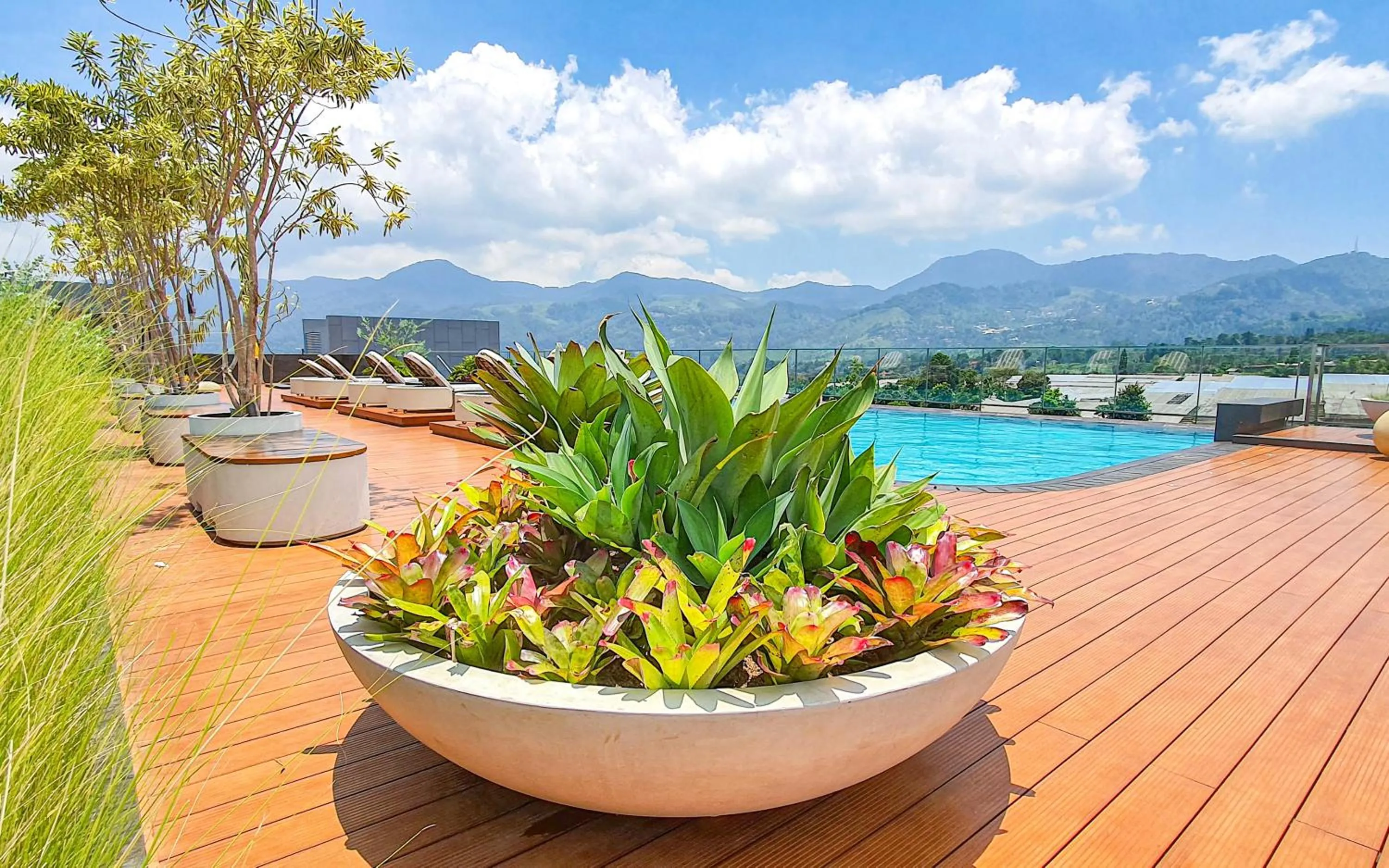Pool view in The Botanica Sanctuary