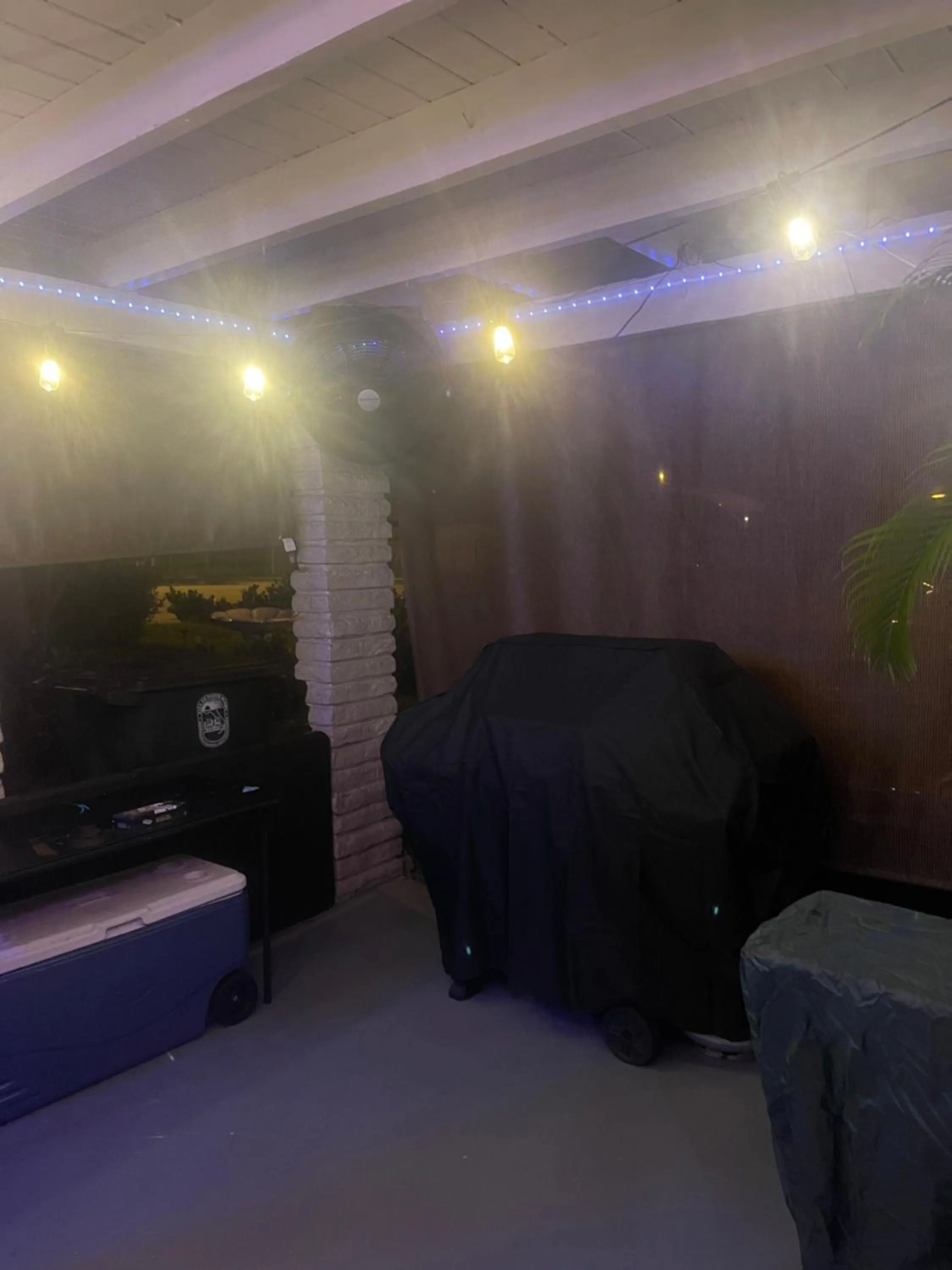 Miami Vibes "Hostel-Like" Shared Room