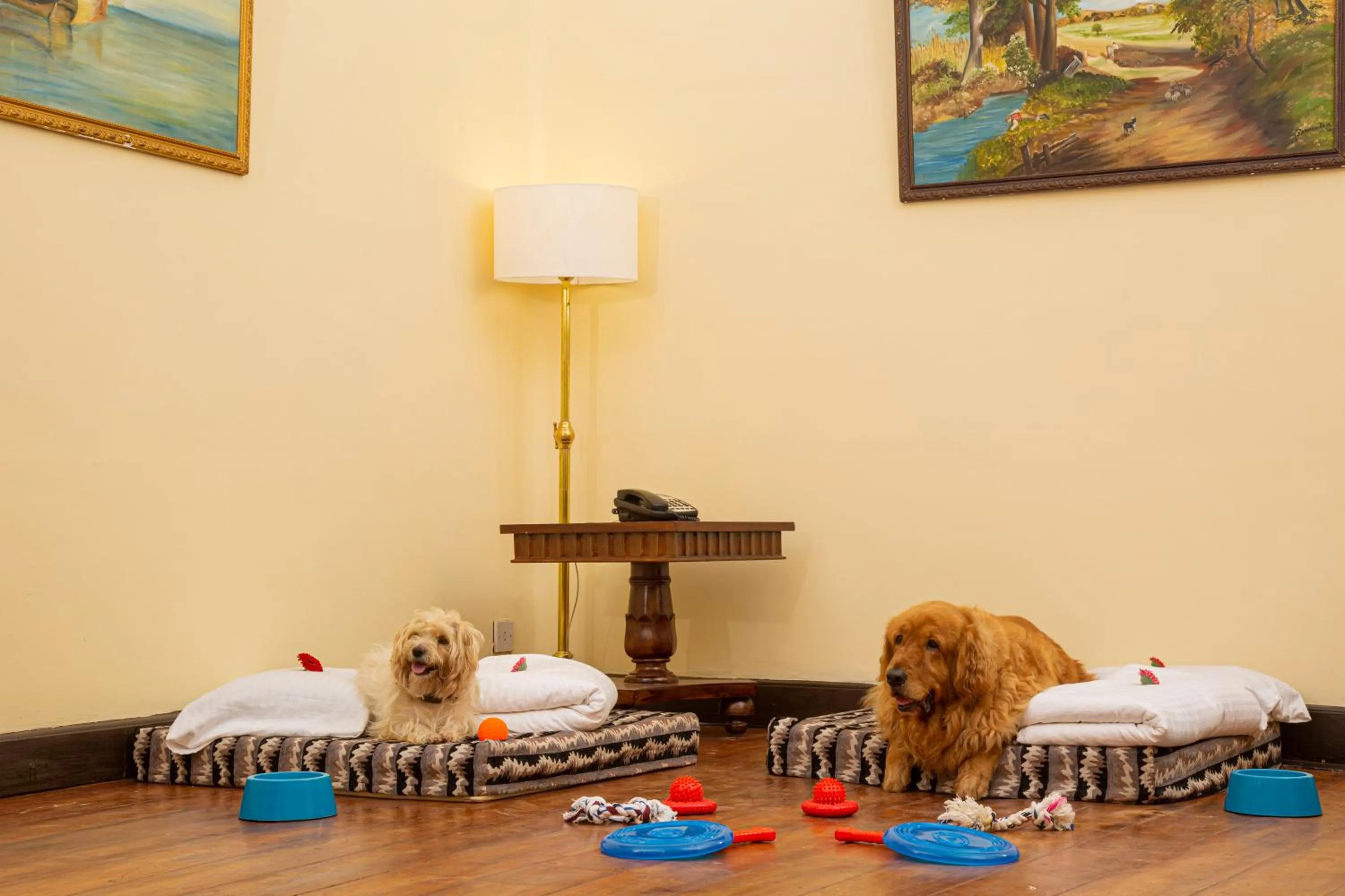 Other in Gateway Coonoor