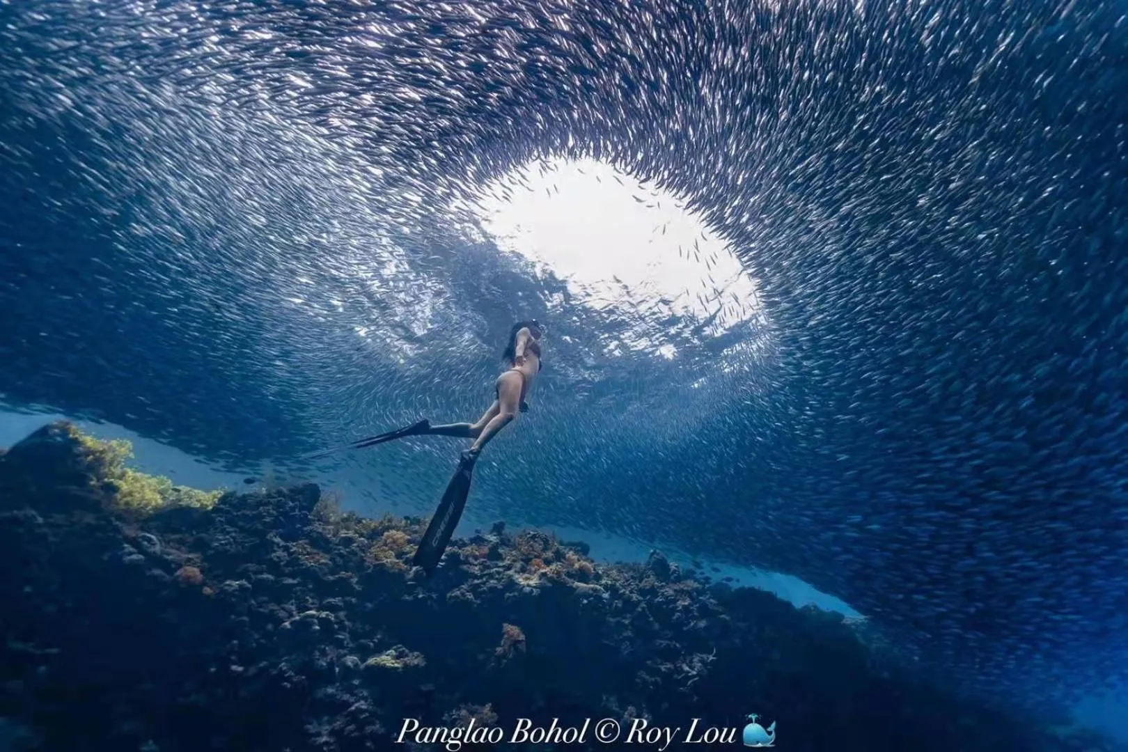 Diving in Ultra Mint Resort