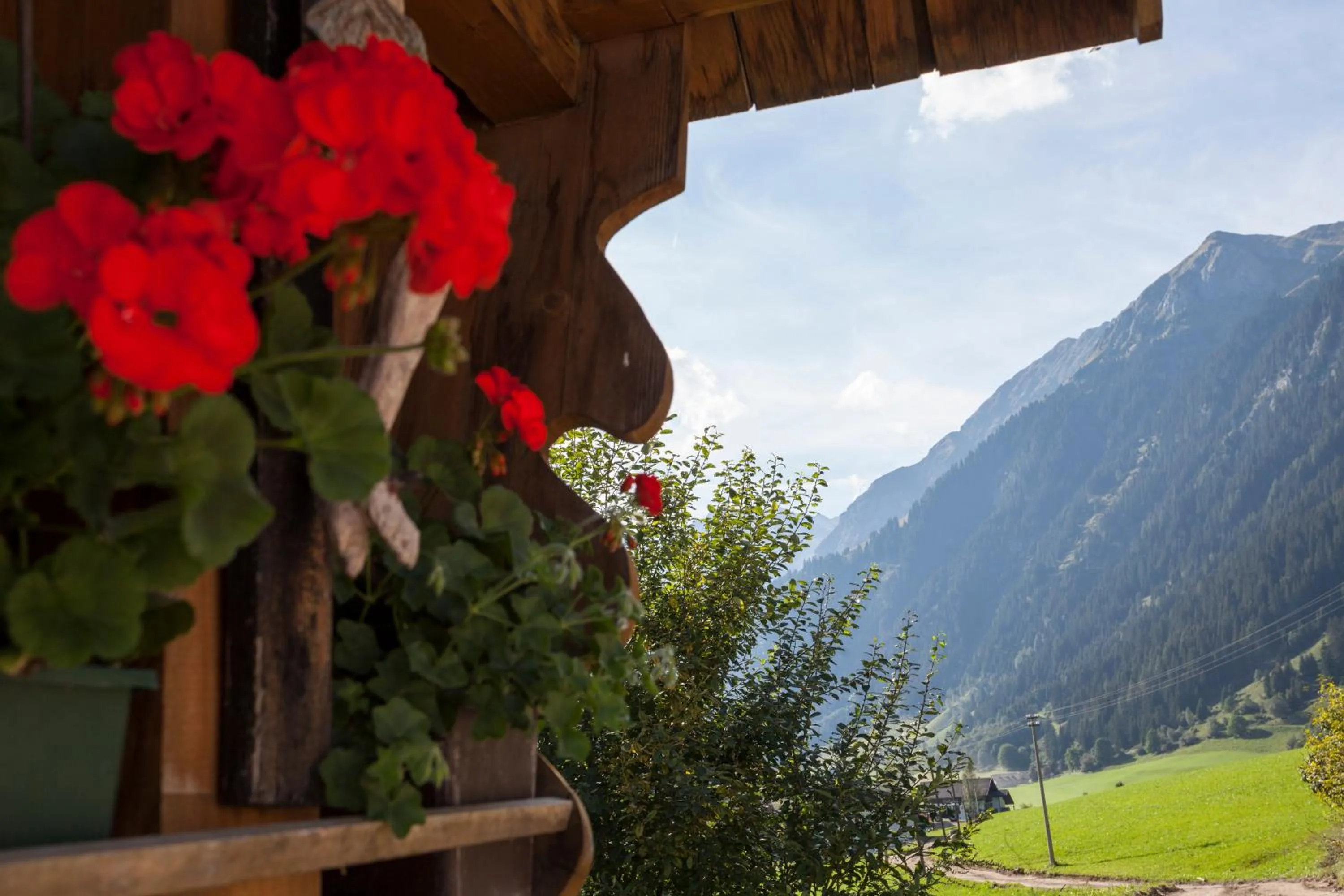 Alpenspitz Appartements - Garni - B&B