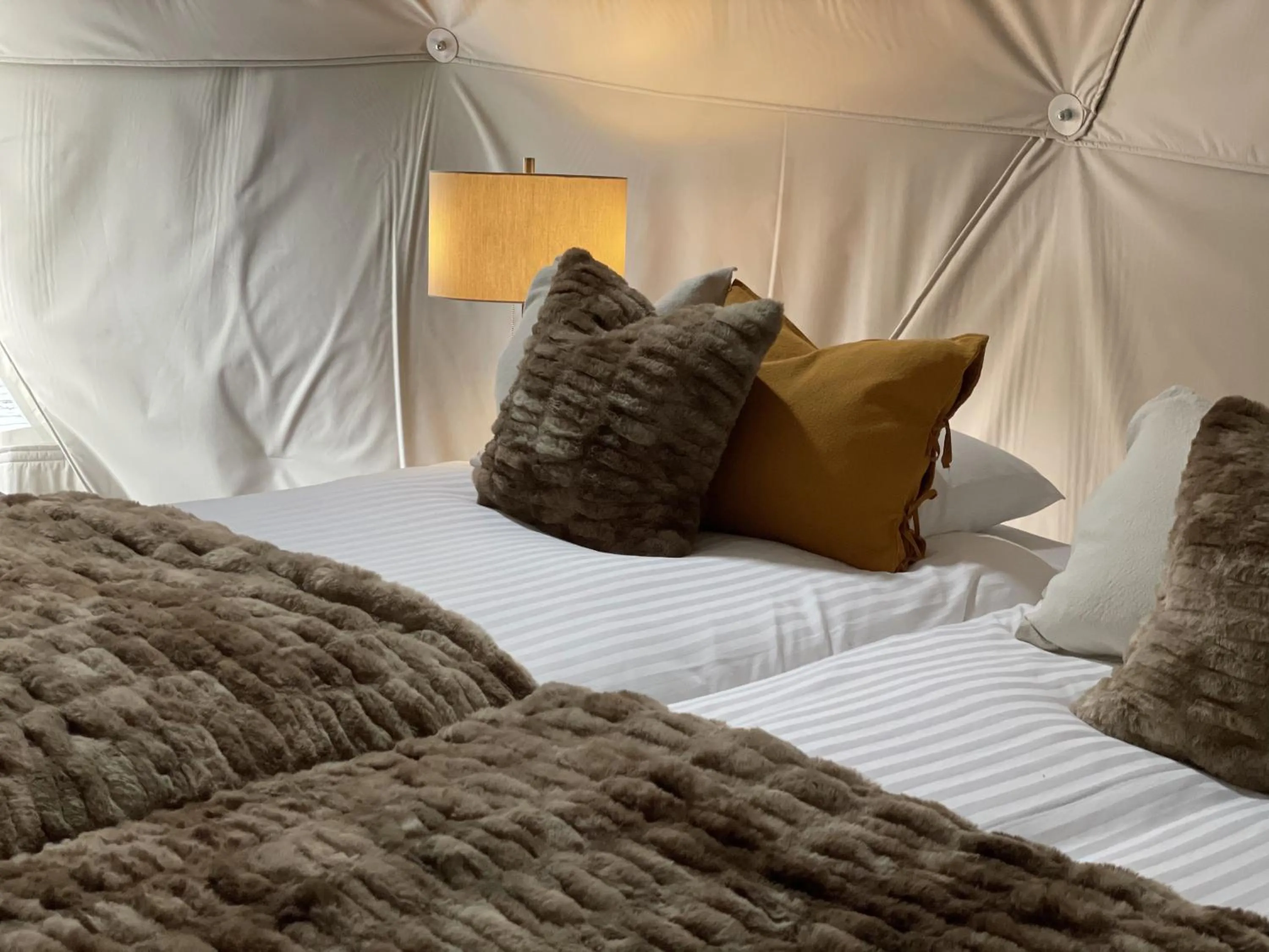 Bed in TOCORO. Mt.Fuji CAMP&GLAMPING