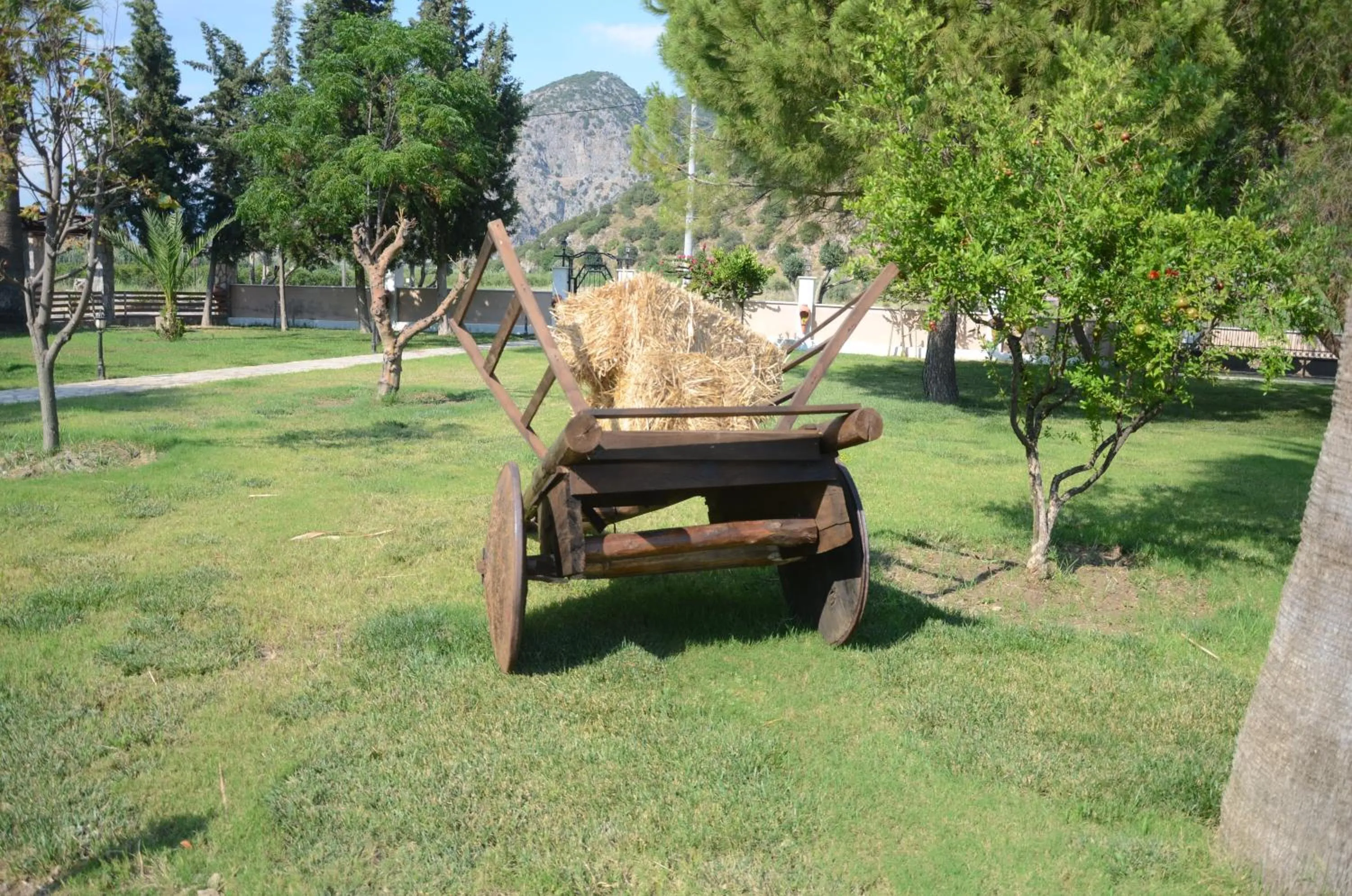 Garden in Oasis Apart Hotel