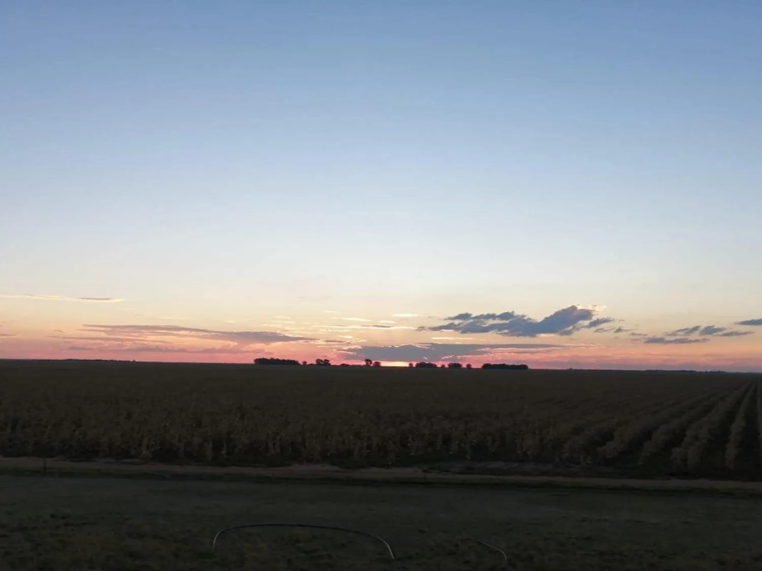 Property building in Wildebeespan Bed and Breakfast