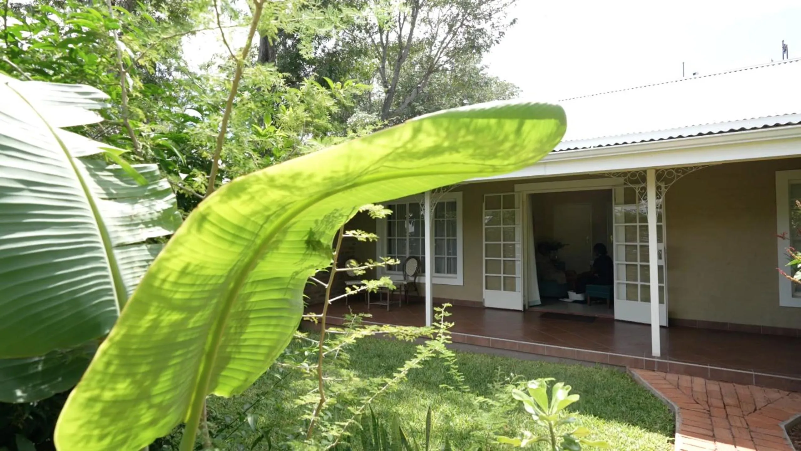 Property building in Pioneers