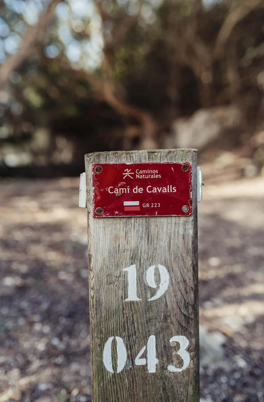 Hiking in HOSTAL XUROY