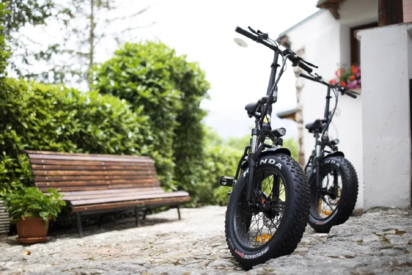 Activities in Il Ciavattone Bed and Bike