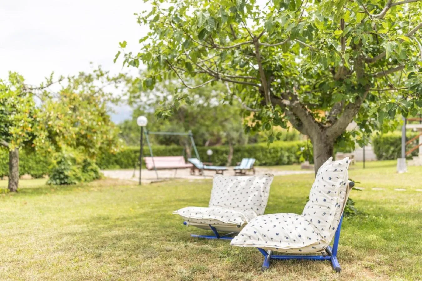 Garden in Il Ciavattone Bed and Bike