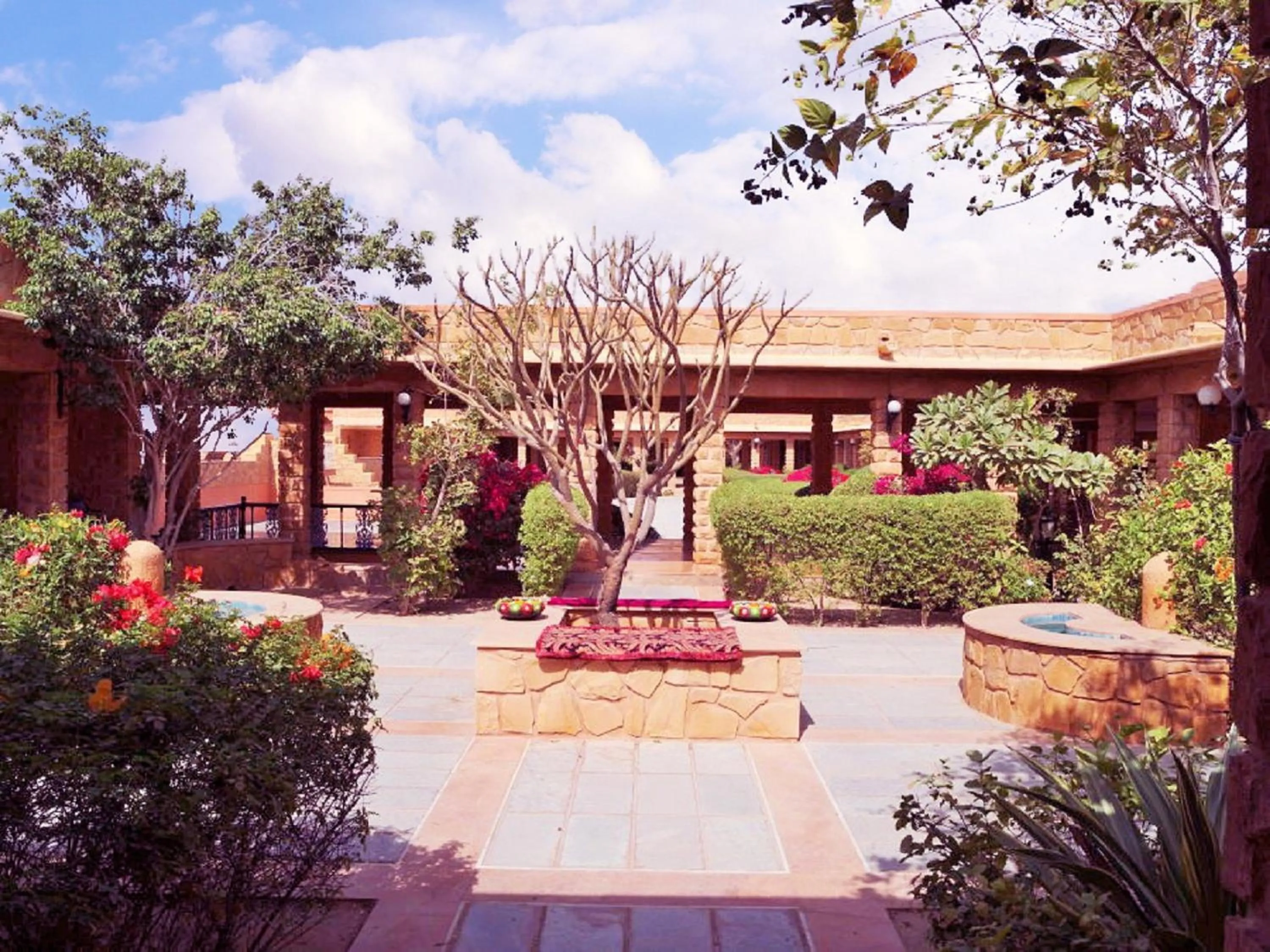 Garden in Hotel Rawalkot Jaisalmer