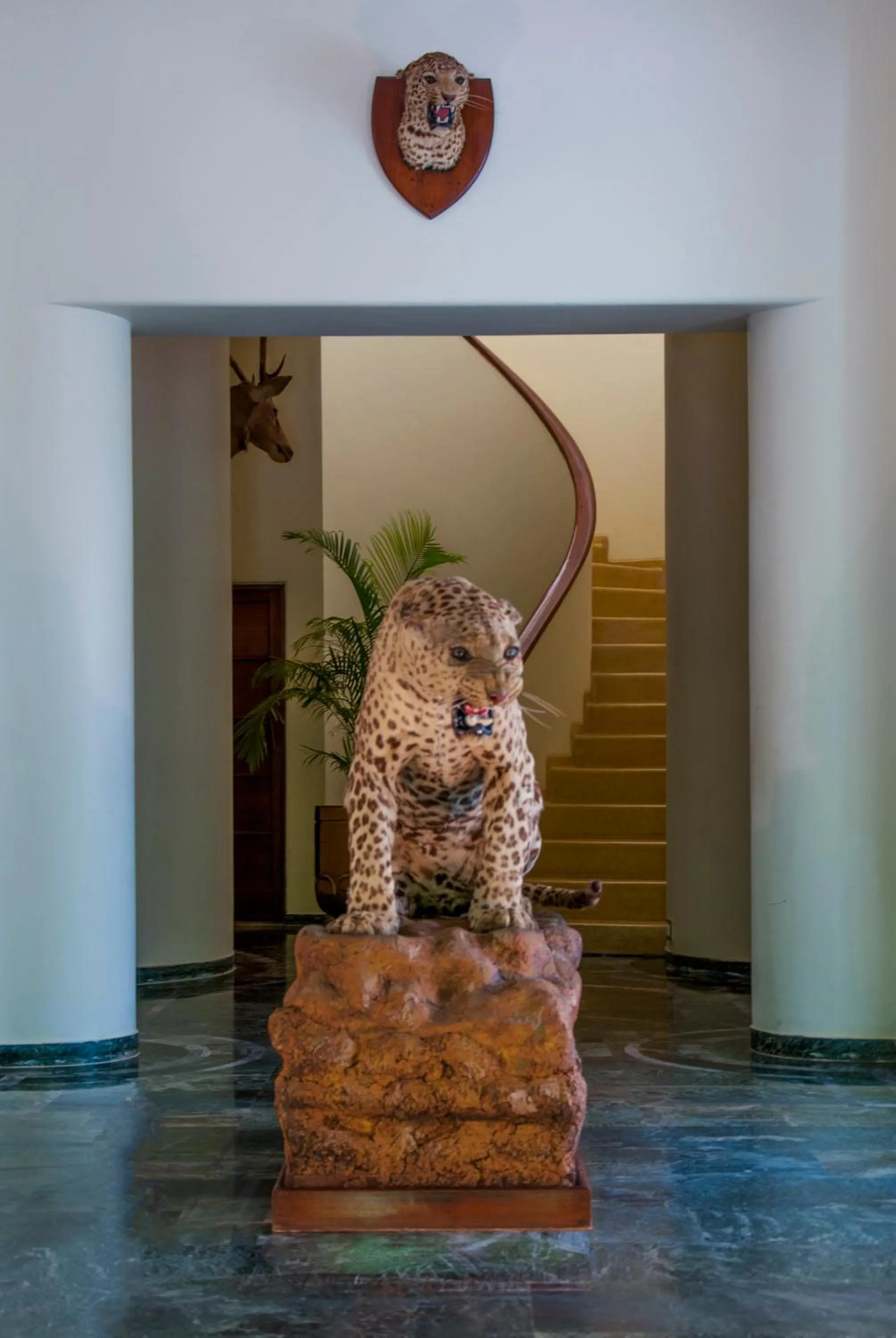 Lobby or reception in Sawai Madhopur Lodge - IHCL SeleQtions