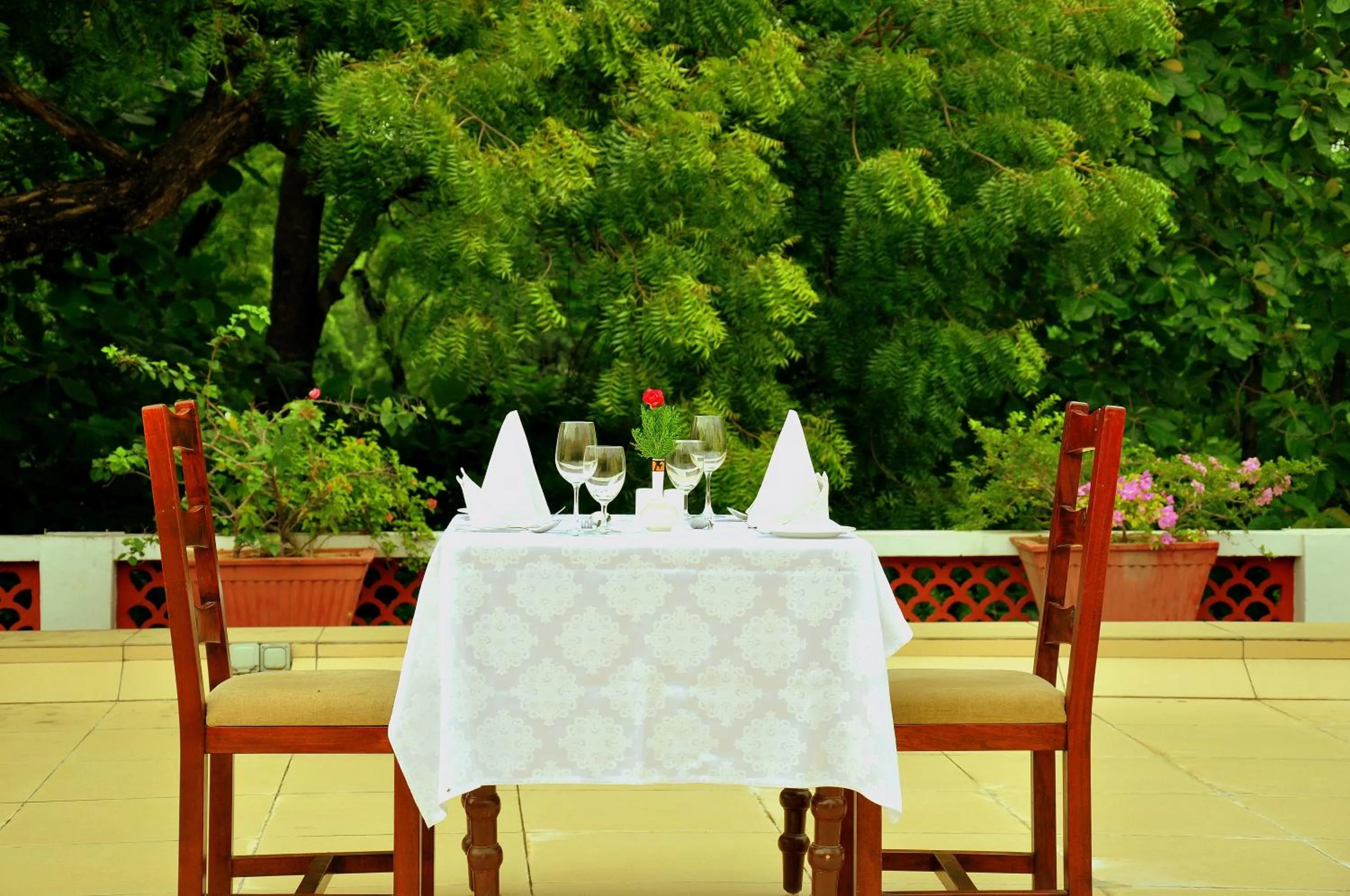 Food in Sawai Madhopur Lodge - IHCL SeleQtions