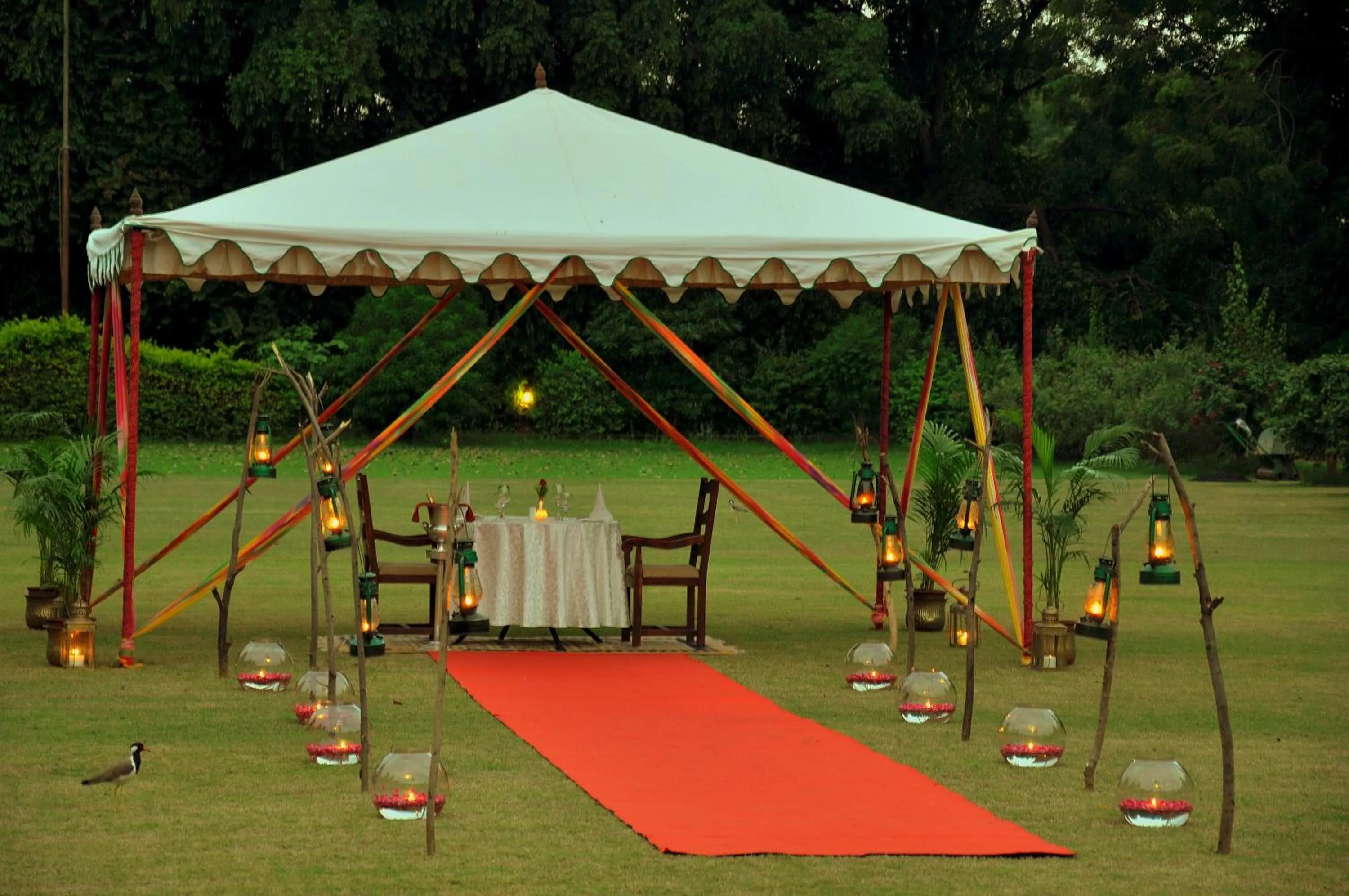 Restaurant/places to eat in Sawai Madhopur Lodge - IHCL SeleQtions