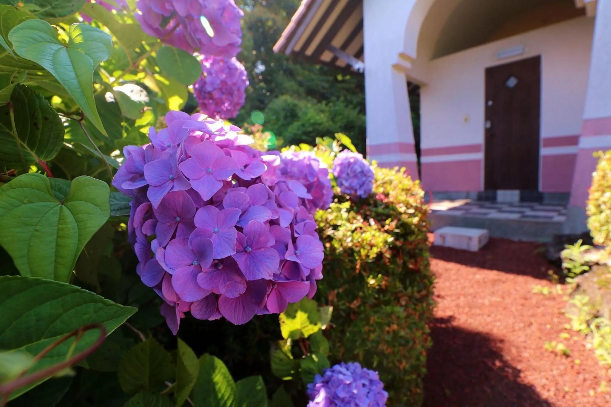 Izukogen Onsen Yuyu "Yuyu" Villa - Vacation STAY 45791v