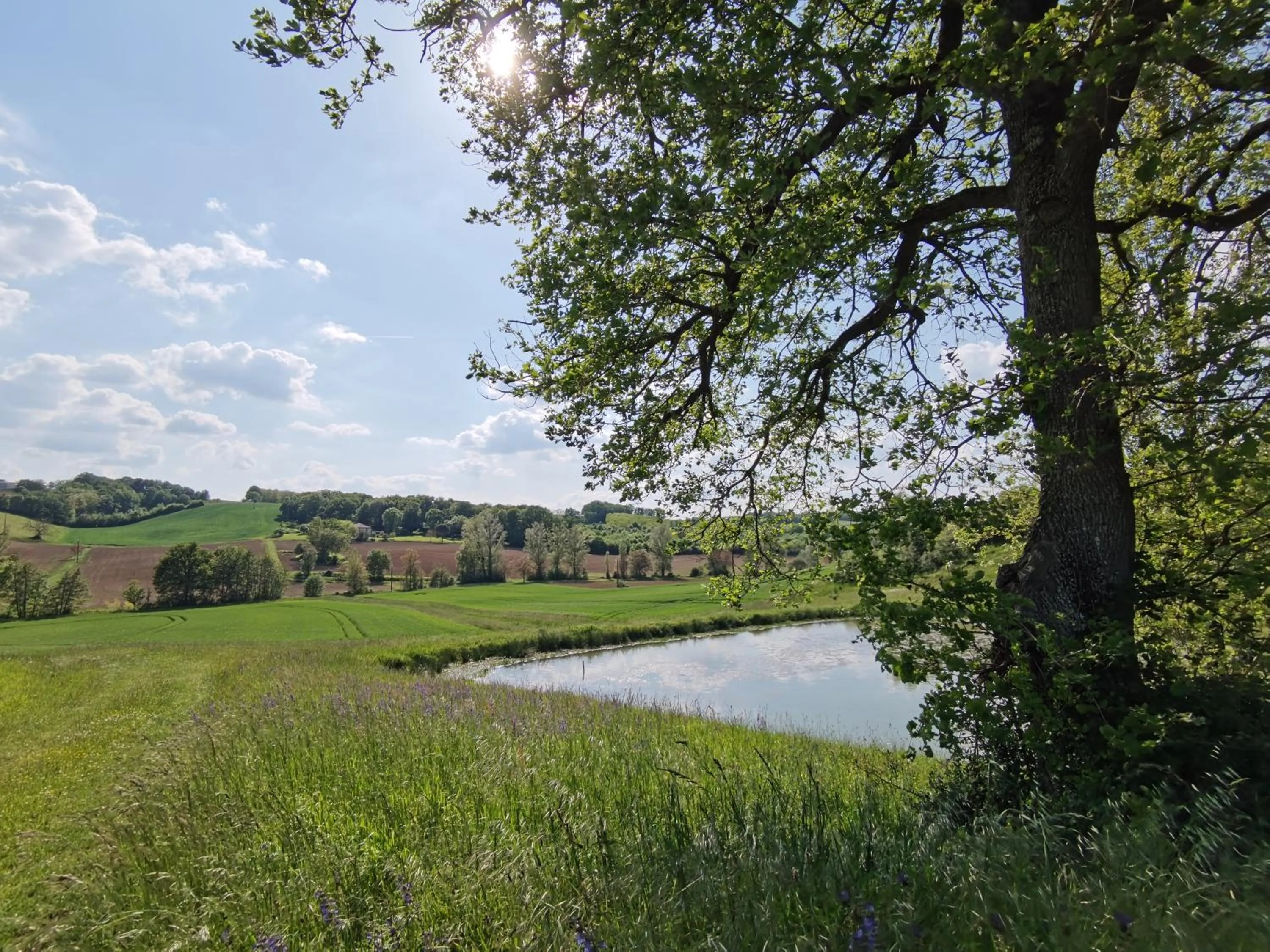 Natural landscape in Les Hauts de Grazac, Chambres et Tables d'hôtes