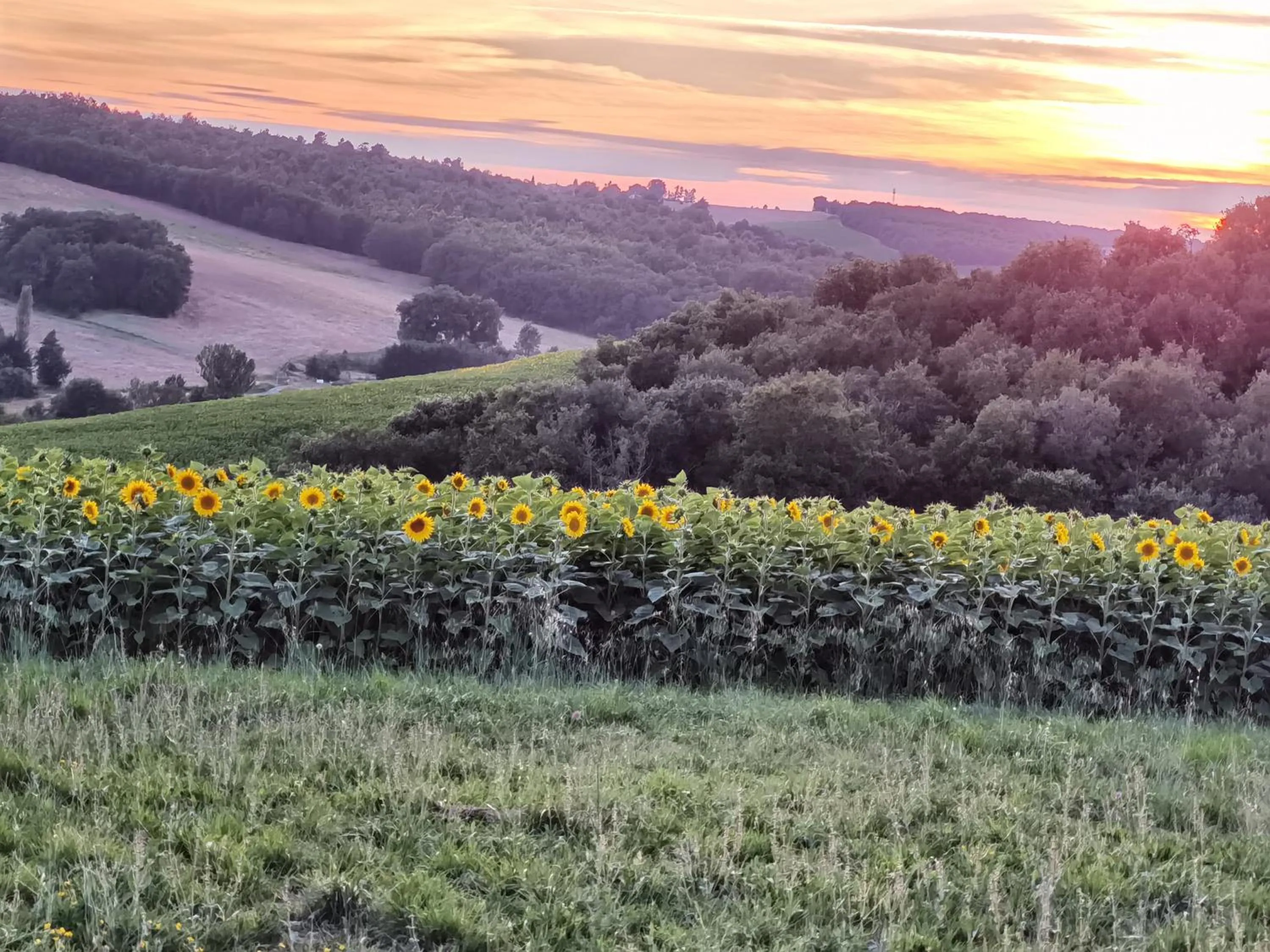 Natural landscape in Les Hauts de Grazac, Chambres et Tables d'hôtes