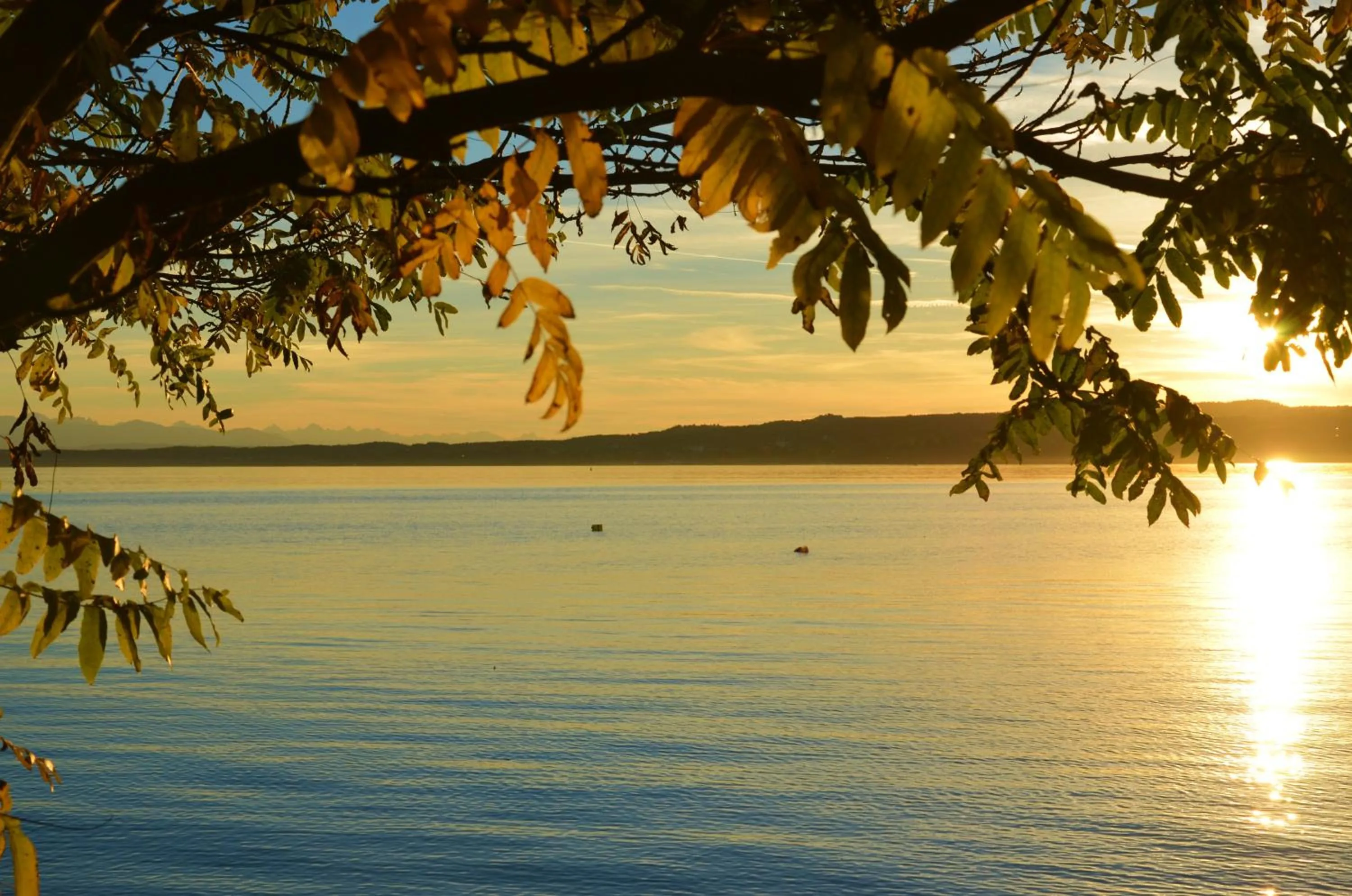 Nearby landmark in Hotel Schloss Berg