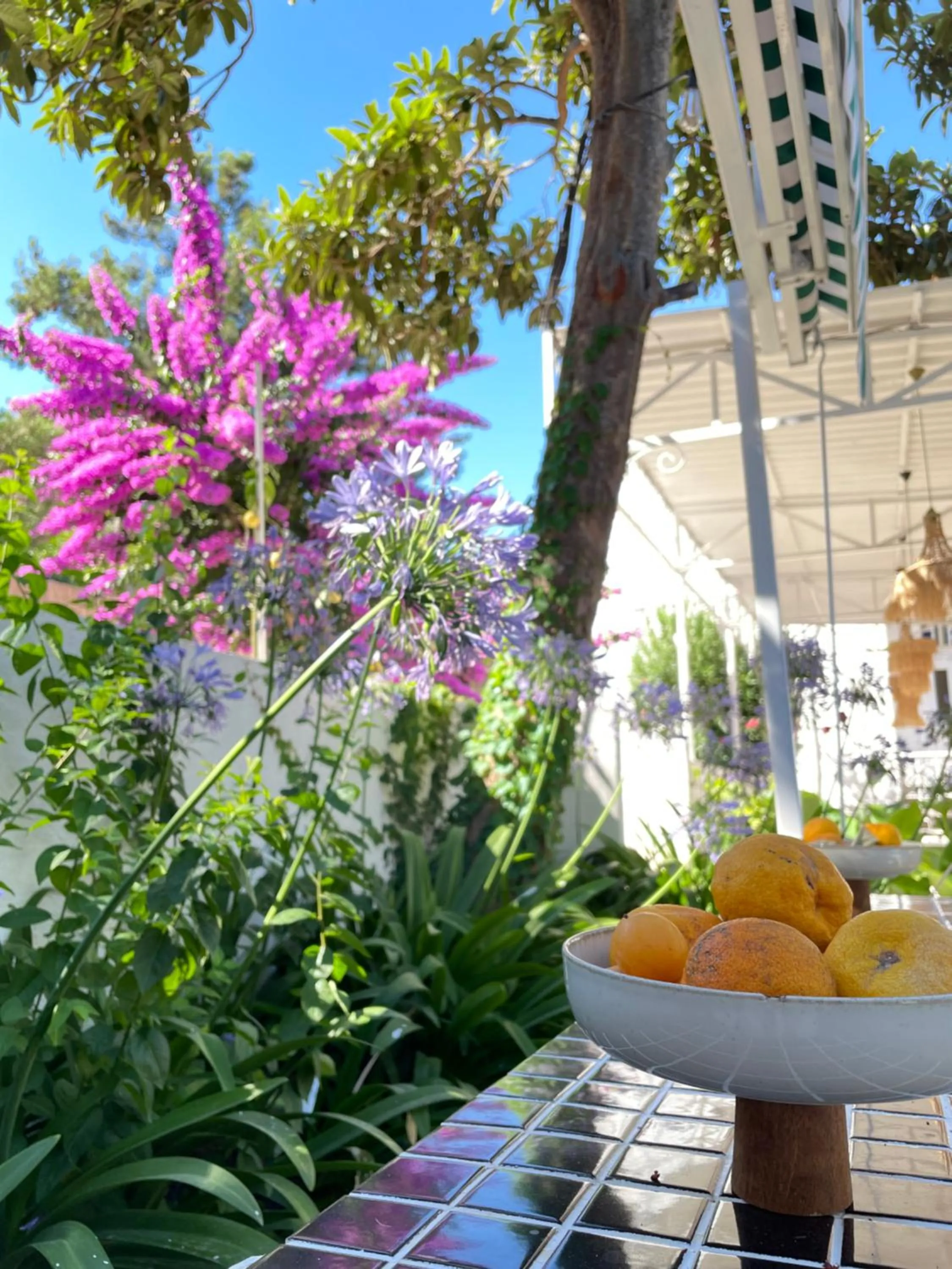 Garden in Ikigai Hotel Villa Rıfat