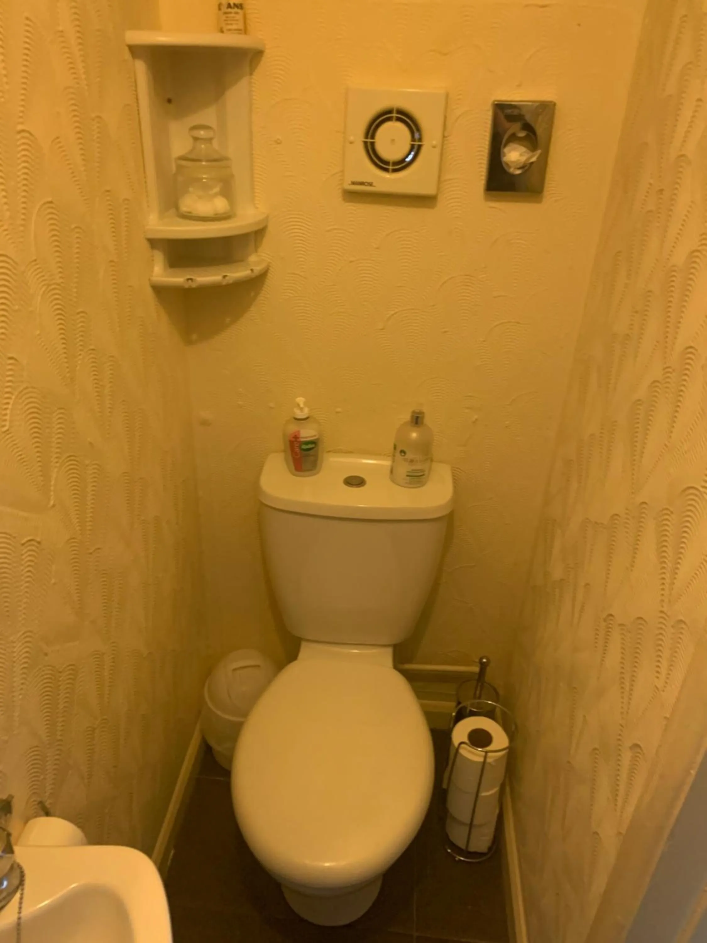 Toilet in roosevelt lodge