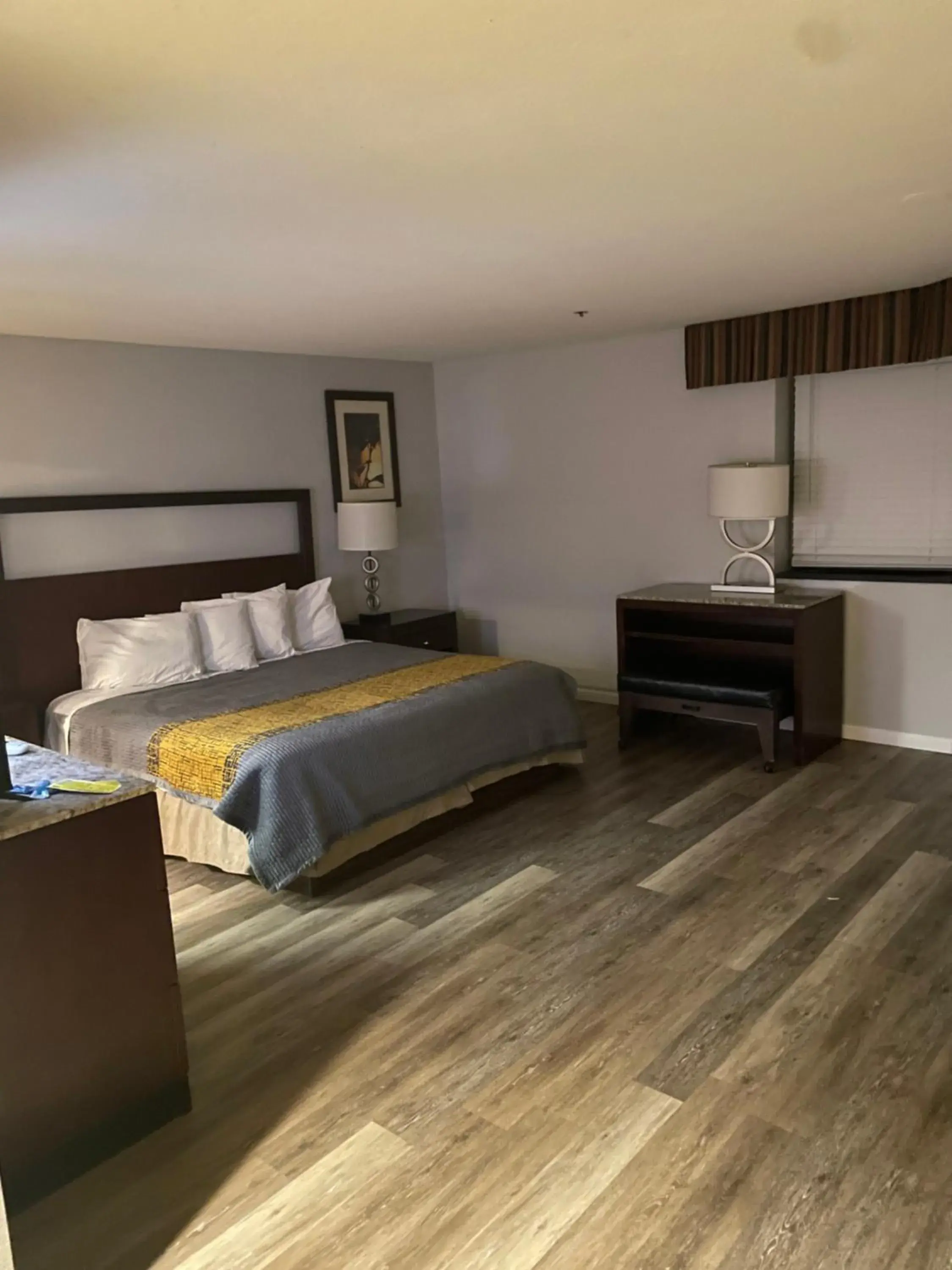 Deluxe King Suite - single occupancy in Apm Inn & Suites Deluxe King Suite - single occupancy in Apm Inn & Suites