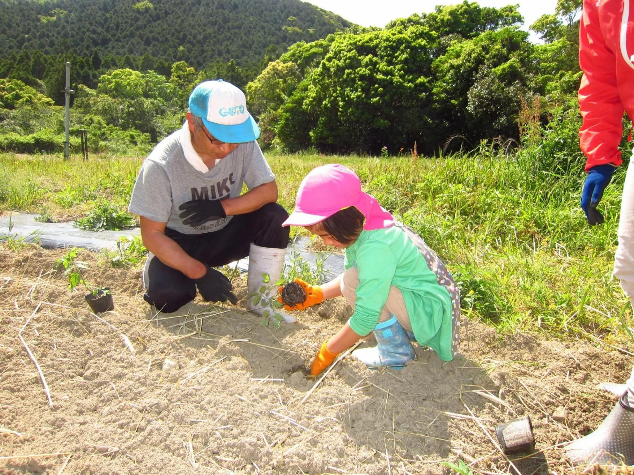 Tiny House Nekotama - Vacation STAY 47148v