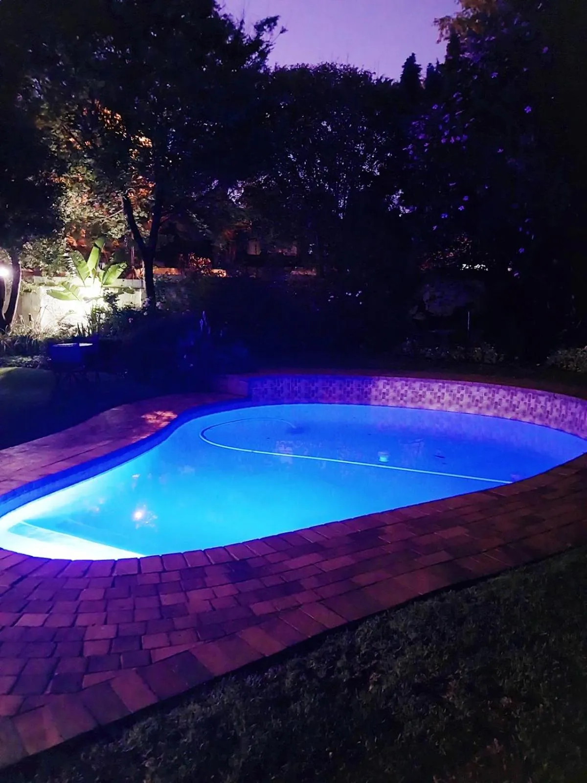 Swimming pool in Libra Lodge & Spa - Randburg, Johannesburg