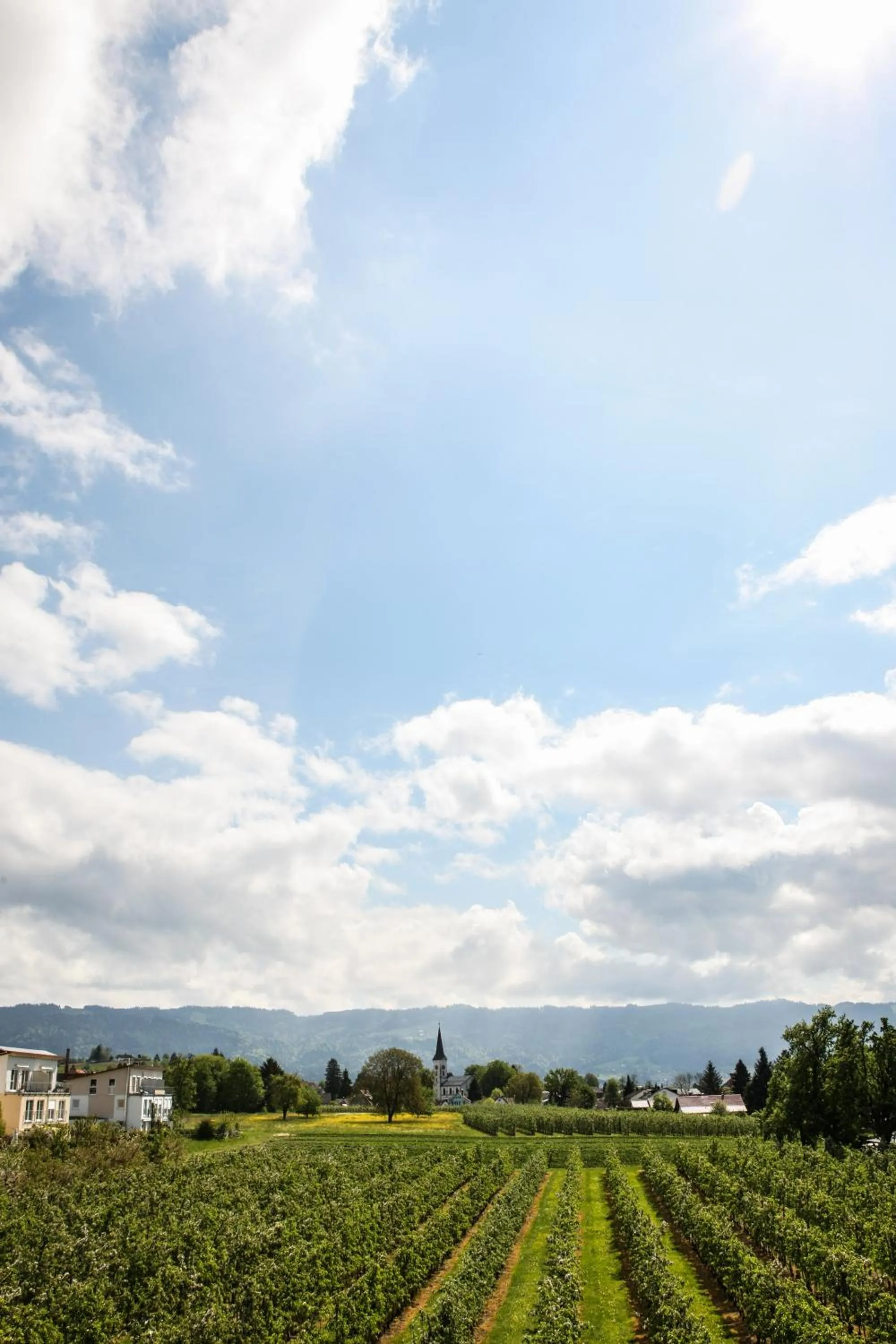 Balcony/Terrace in Hotel Reutiner Hof