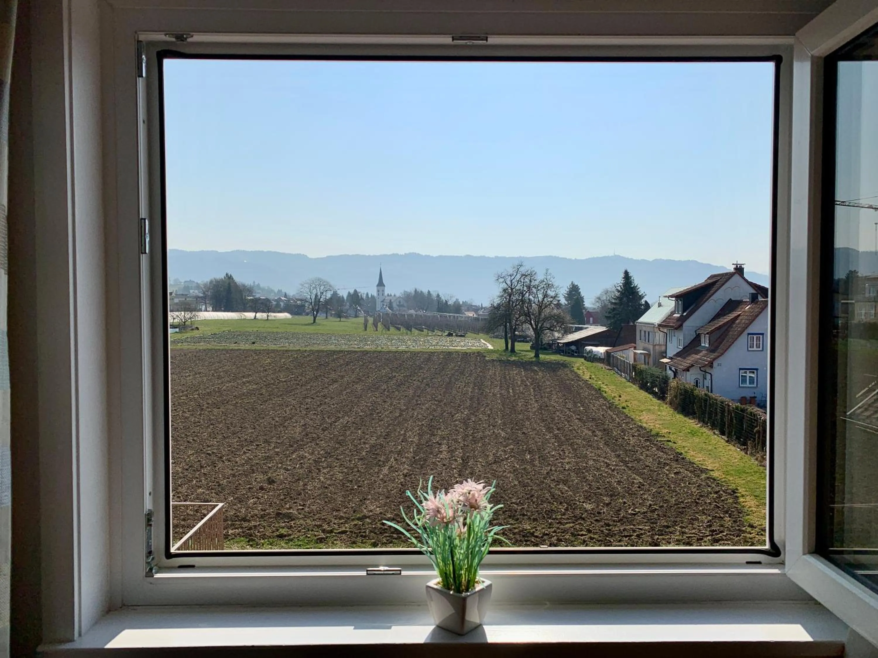 View (from property/room) in Hotel Reutiner Hof