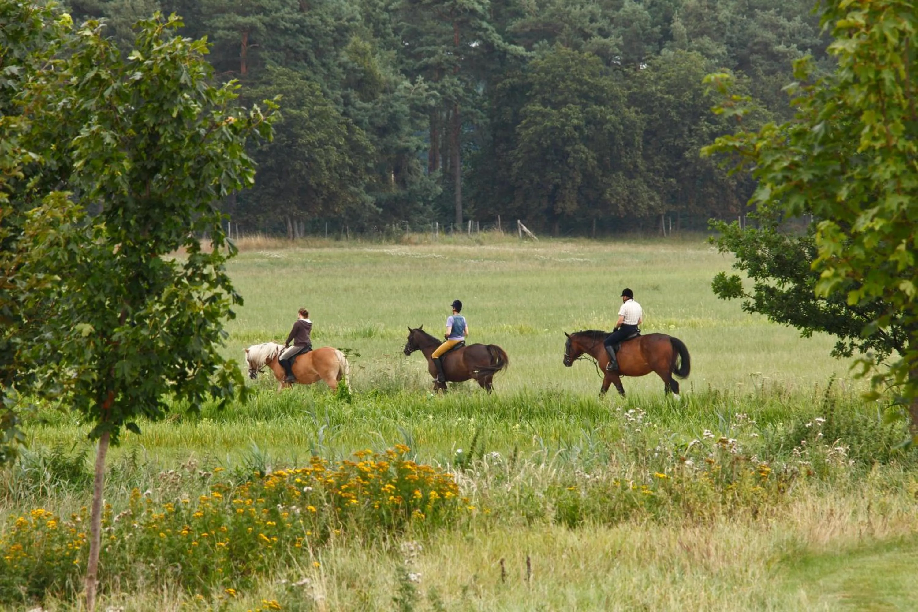 Horse-riding in SCHLOSS Fleesensee