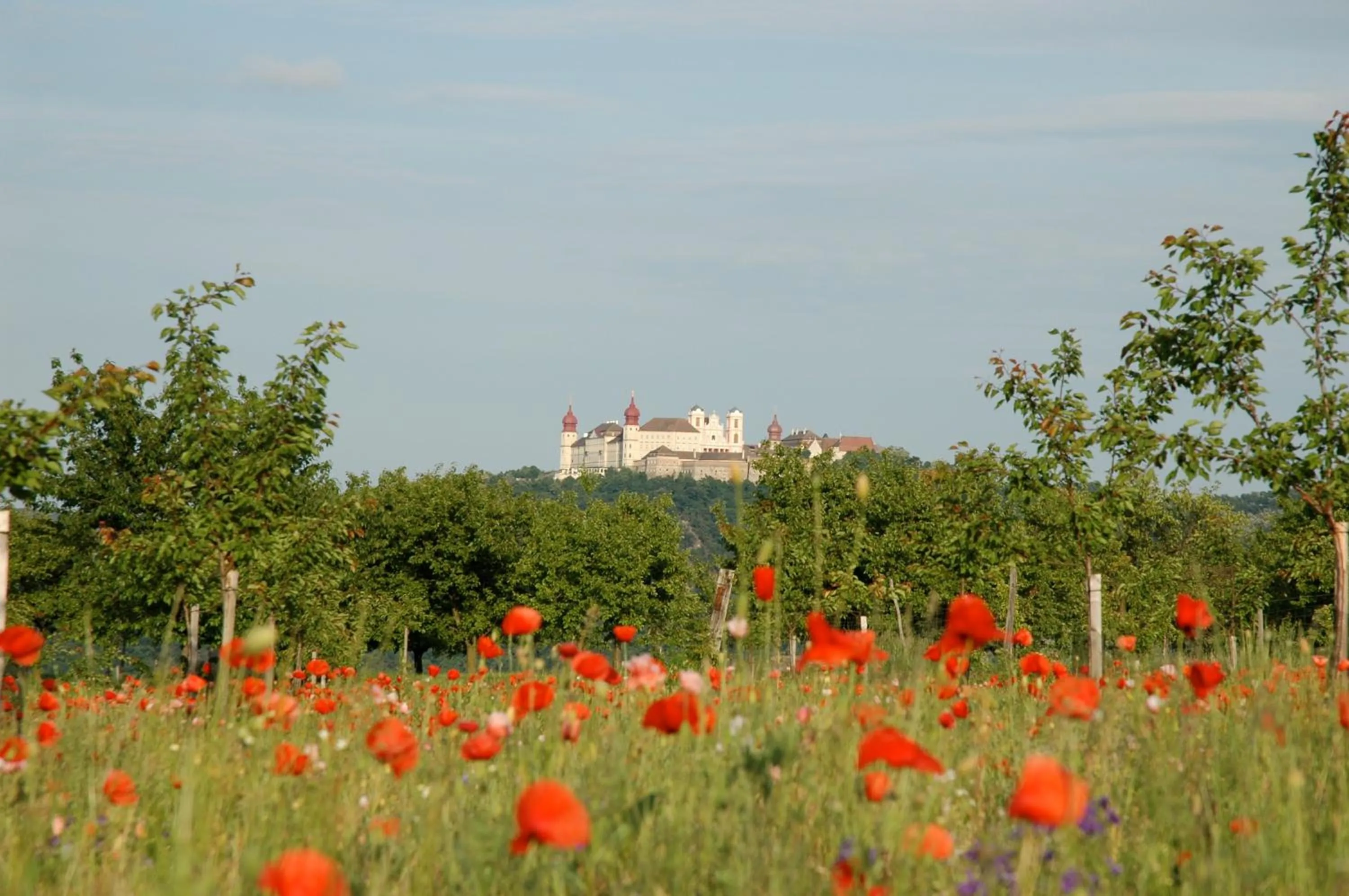 Hiking in ad vineas Gästehaus Nikolaihof-Hotel Garni