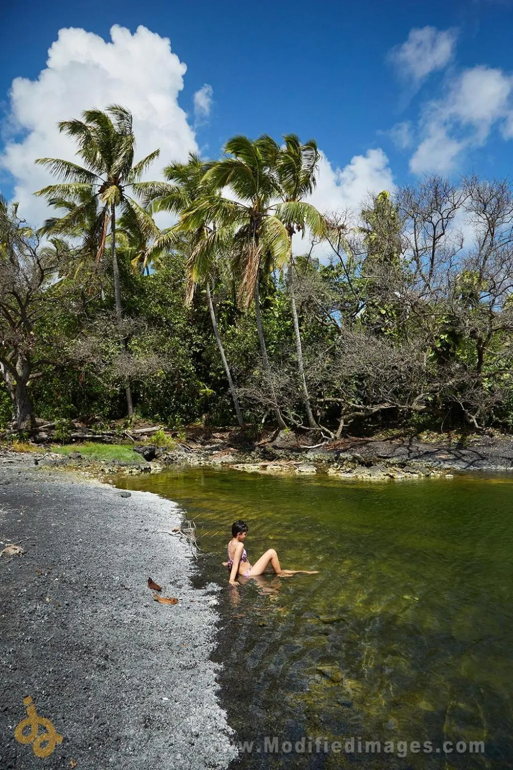Day in Open Gate Hostel Hawaii