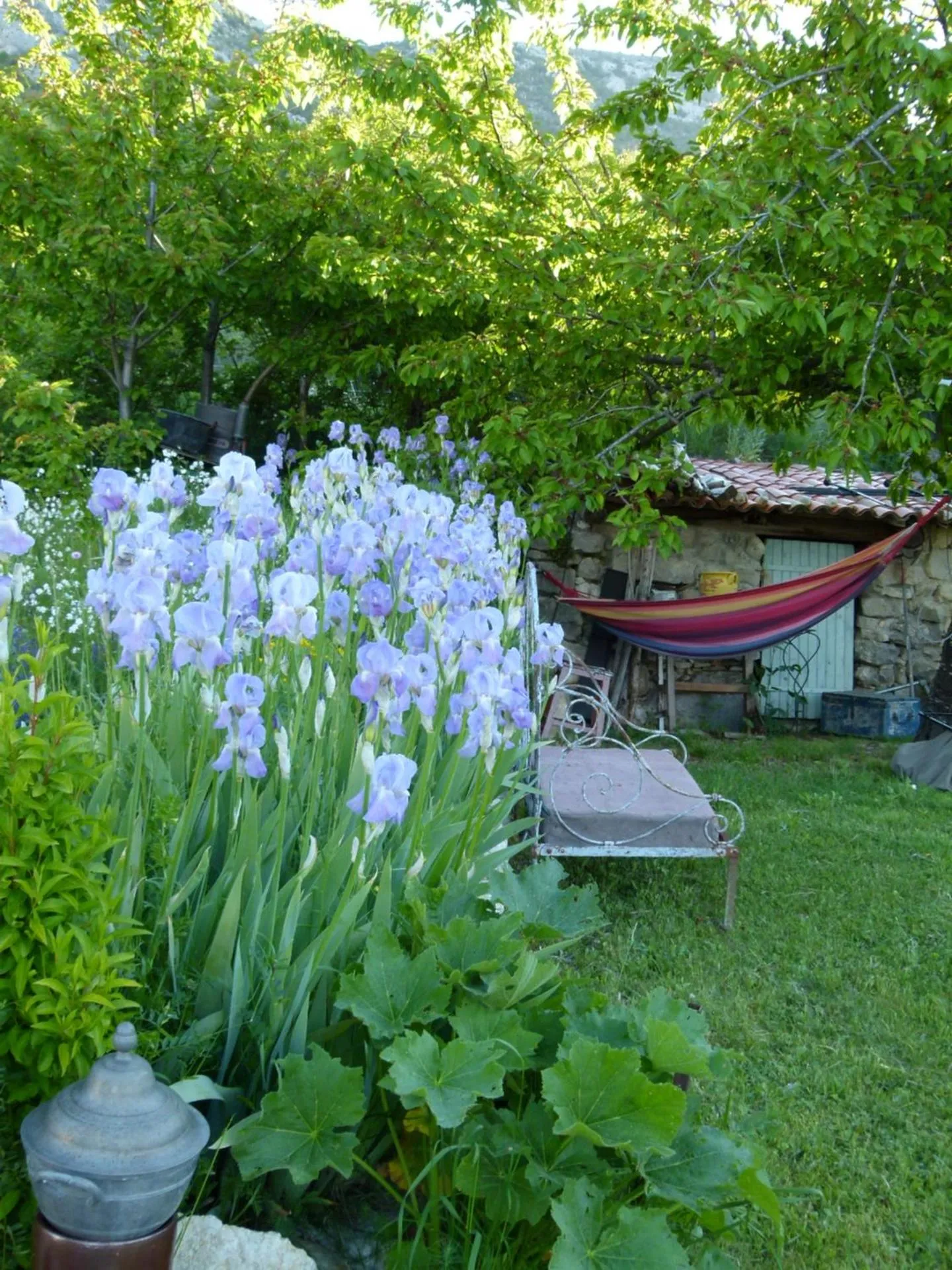 Garden in chambre campagnarde