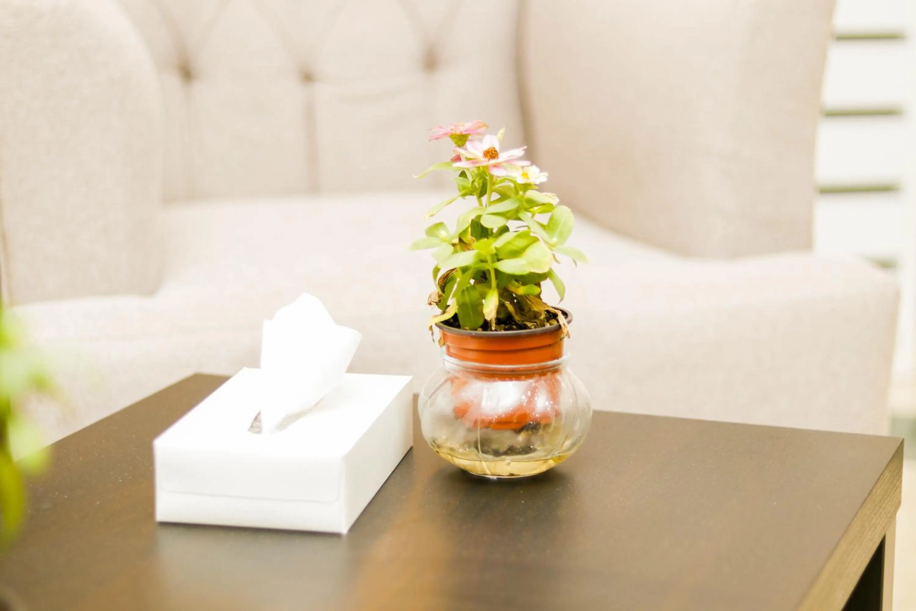 Al Farhan Dumah Al Jandal