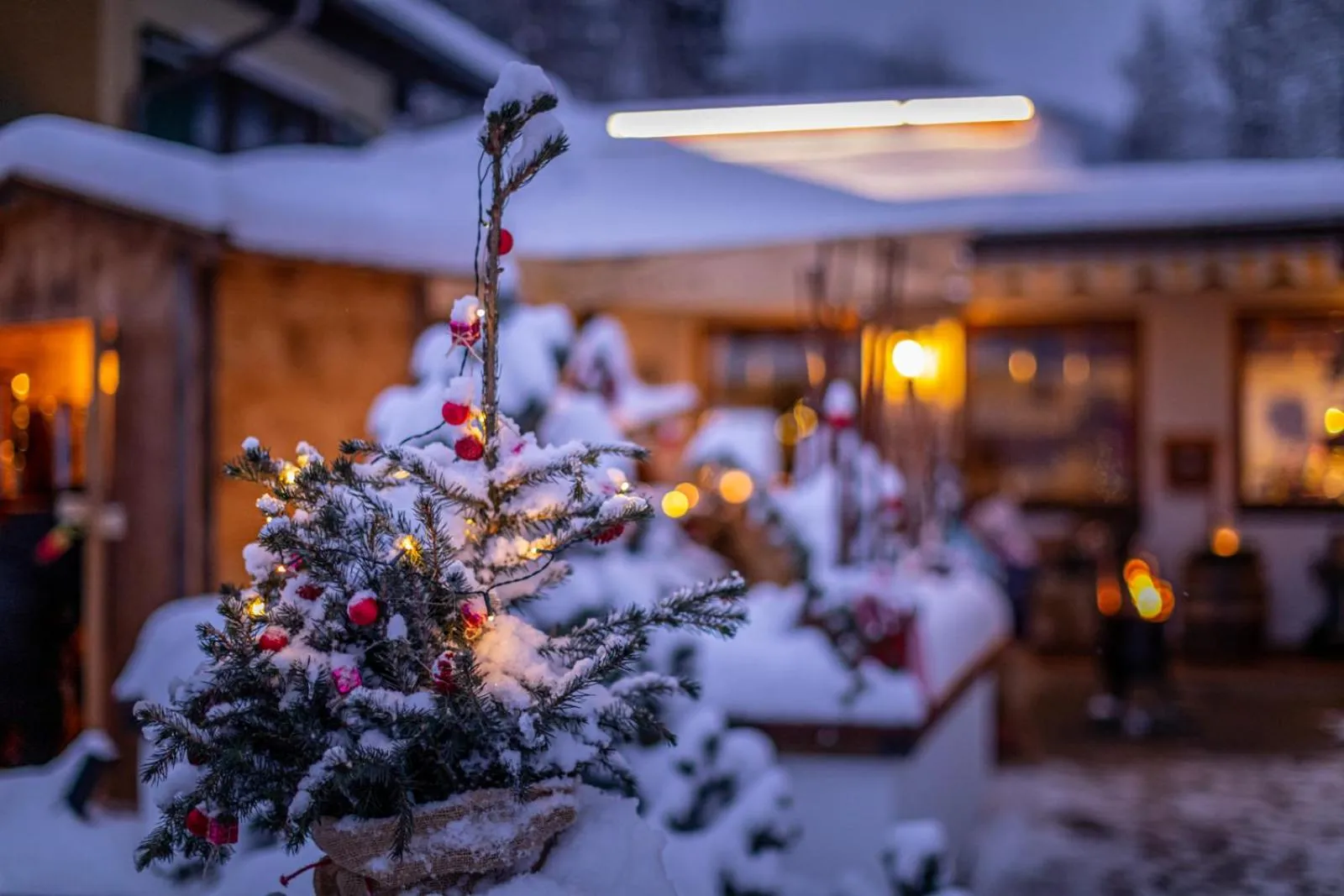 Property building in Alpenhotel Bergzauber