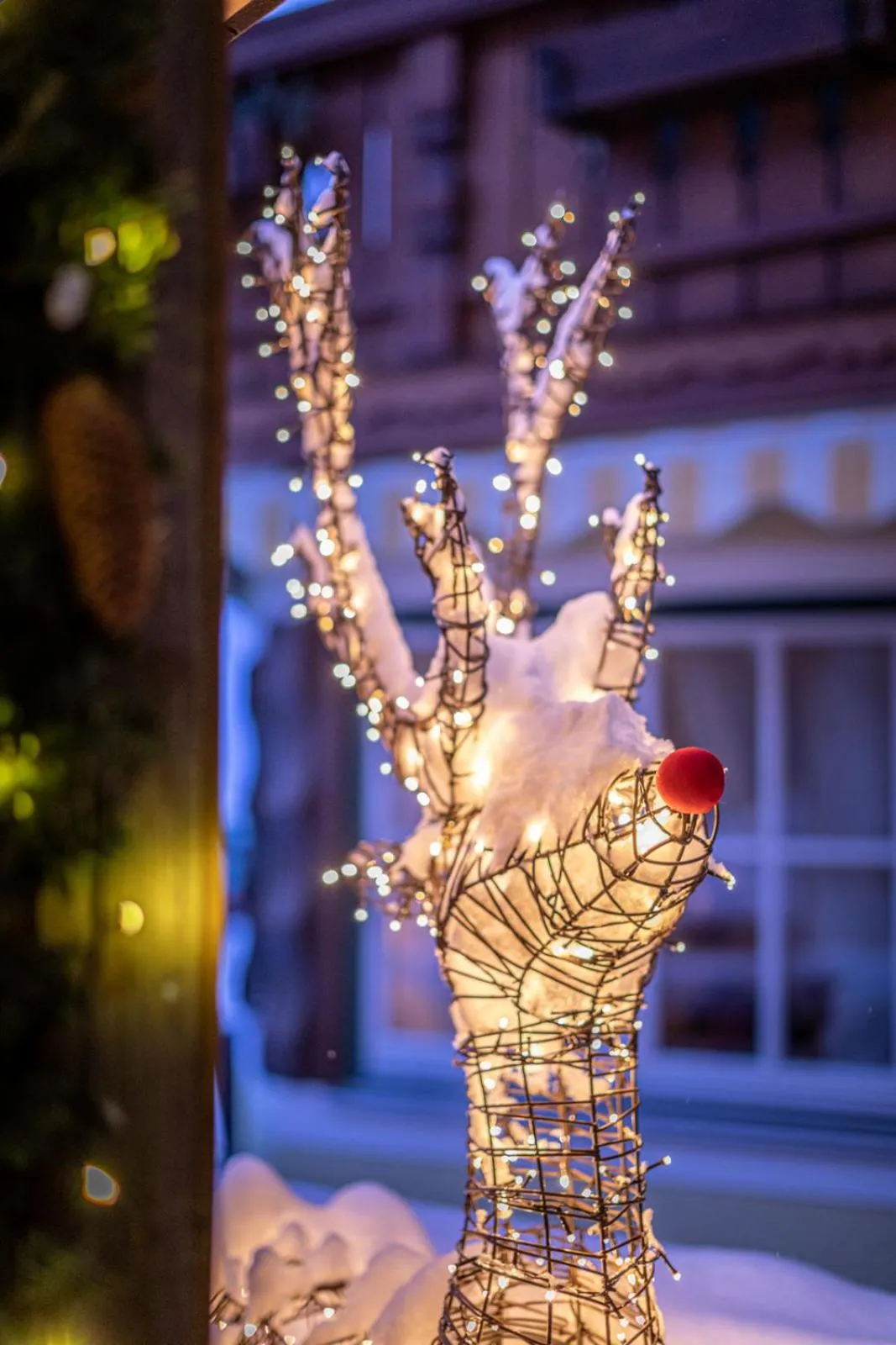 View (from property/room) in Alpenhotel Bergzauber