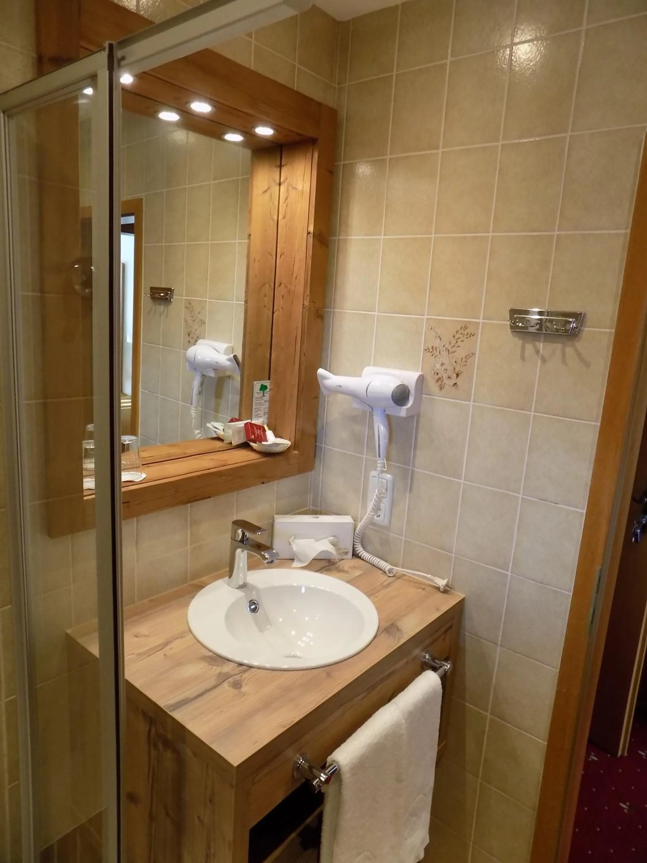 Bathroom in Alpenhotel Bergzauber