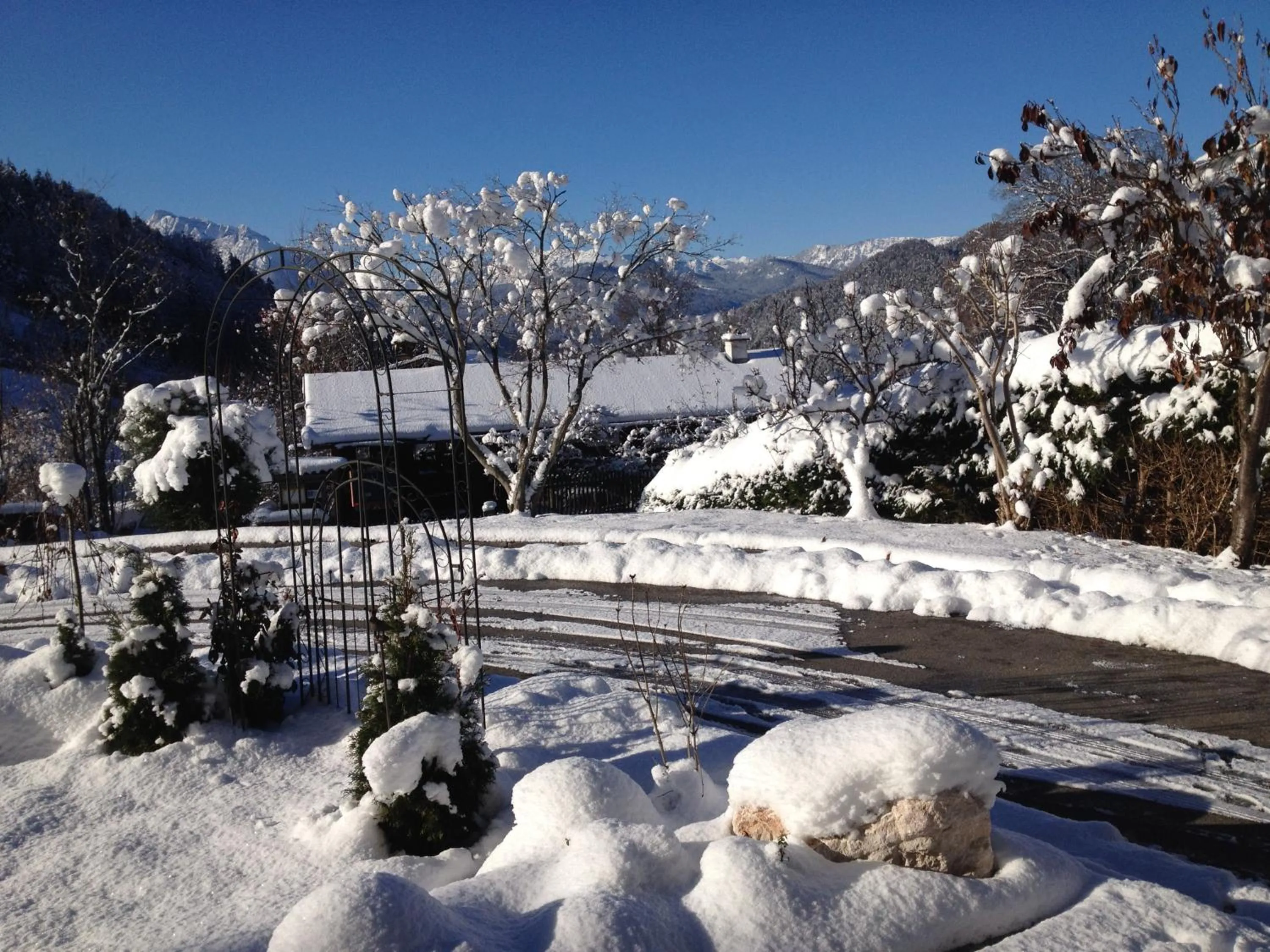 Facade/entrance in Alpenhotel Bergzauber