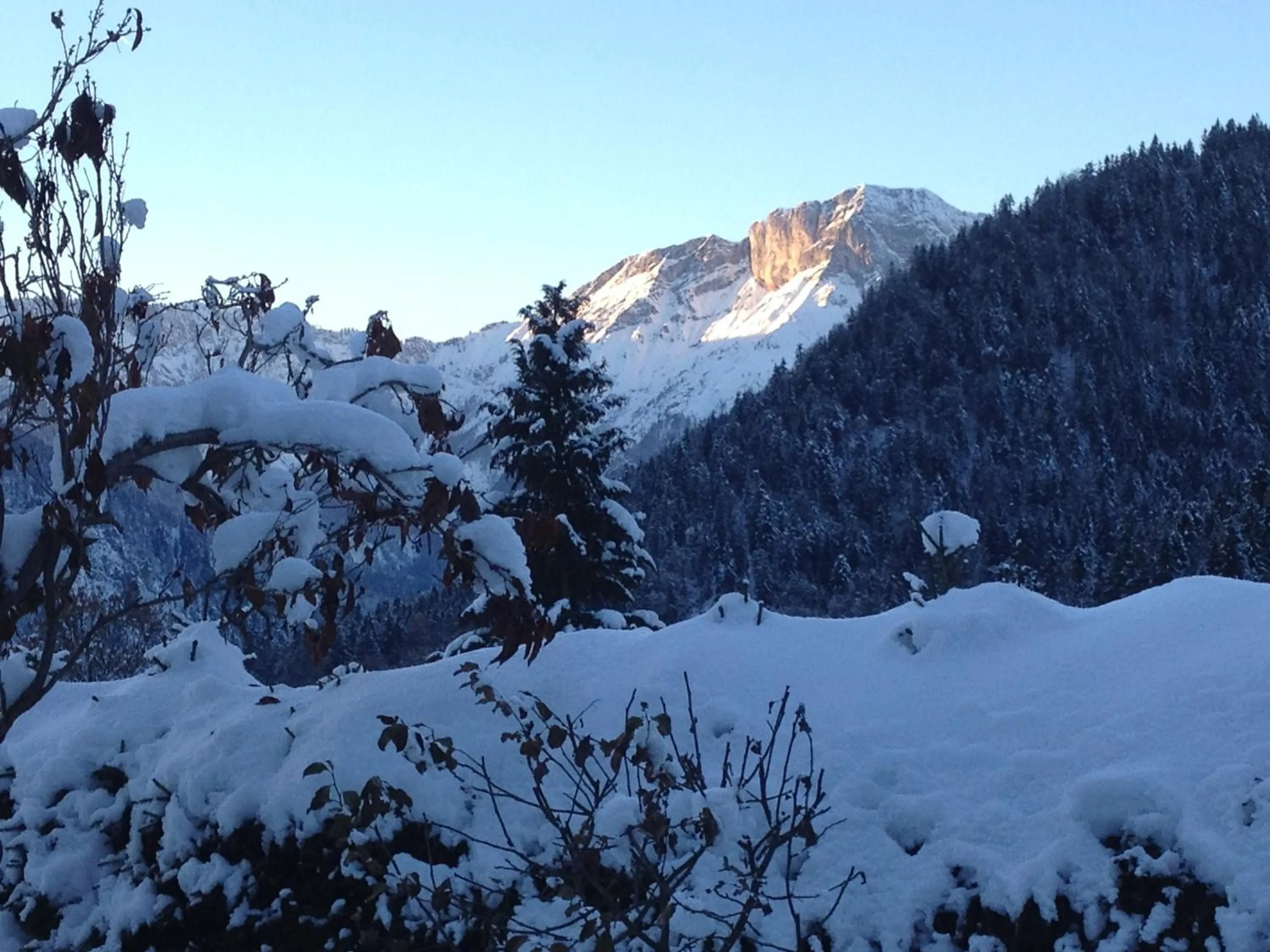 View (from property/room) in Alpenhotel Bergzauber