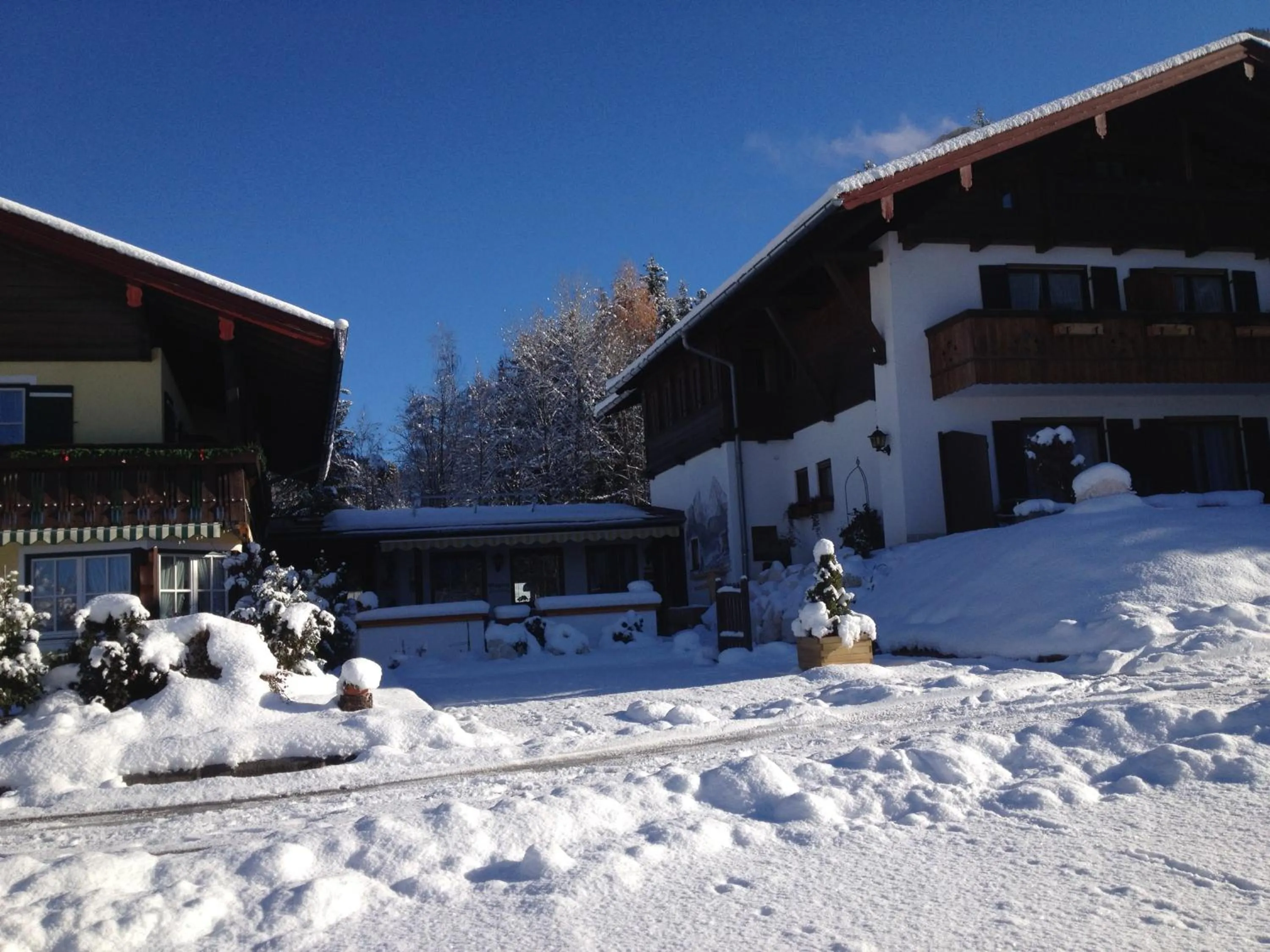 Balcony/Terrace in Alpenhotel Bergzauber