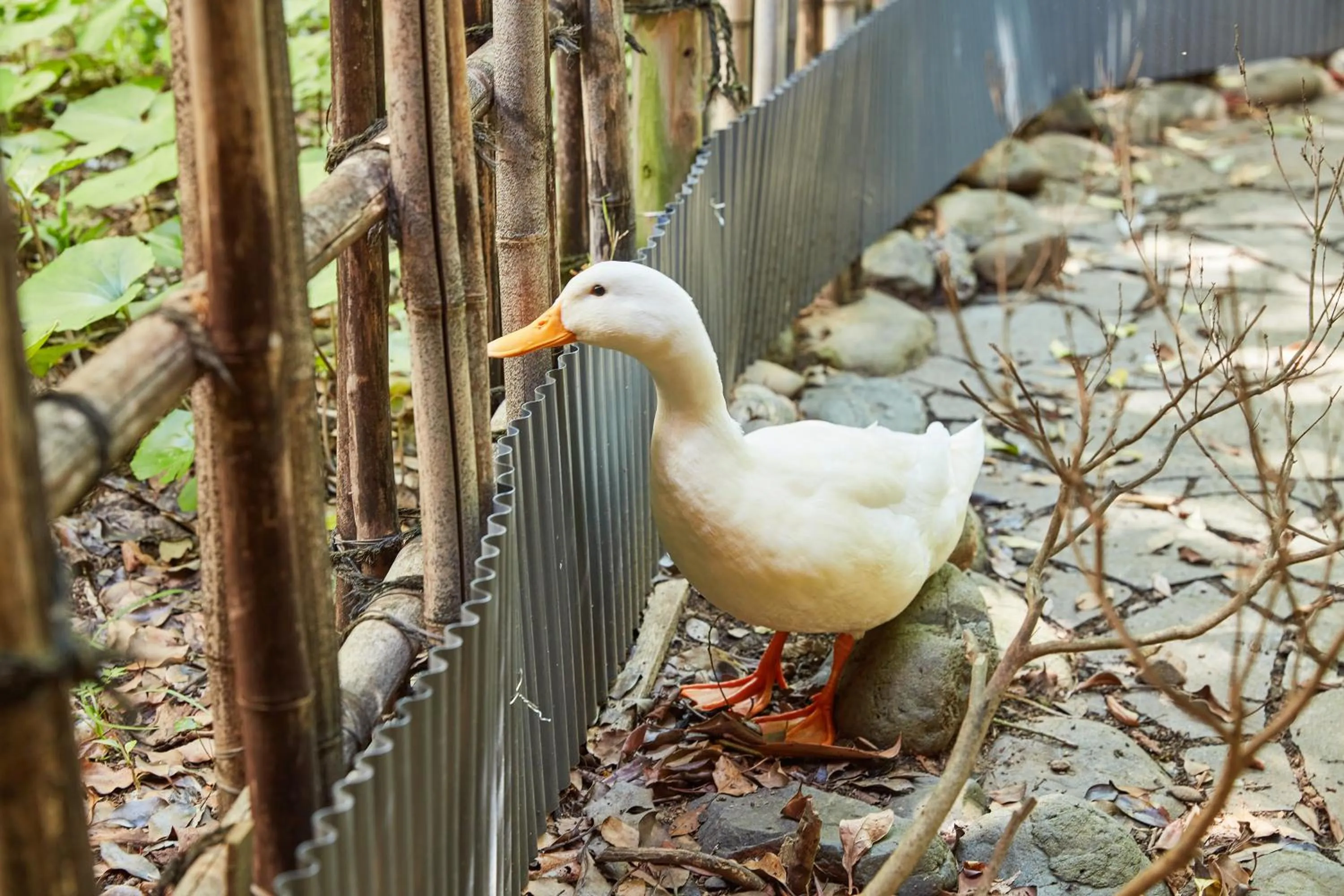 Area and facilities in Hana No Omotenashi Nanraku