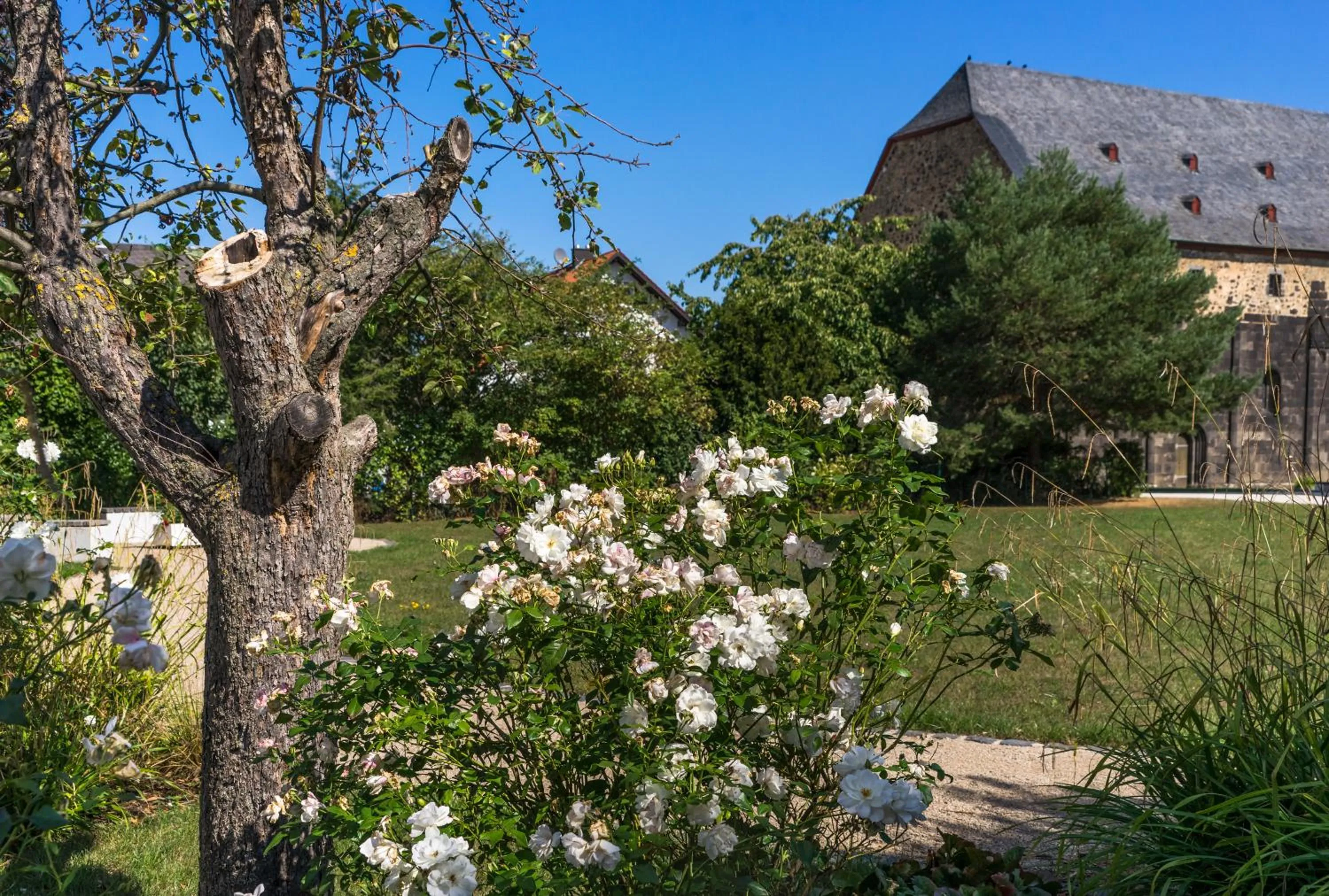 Garden in Johanniterhotel