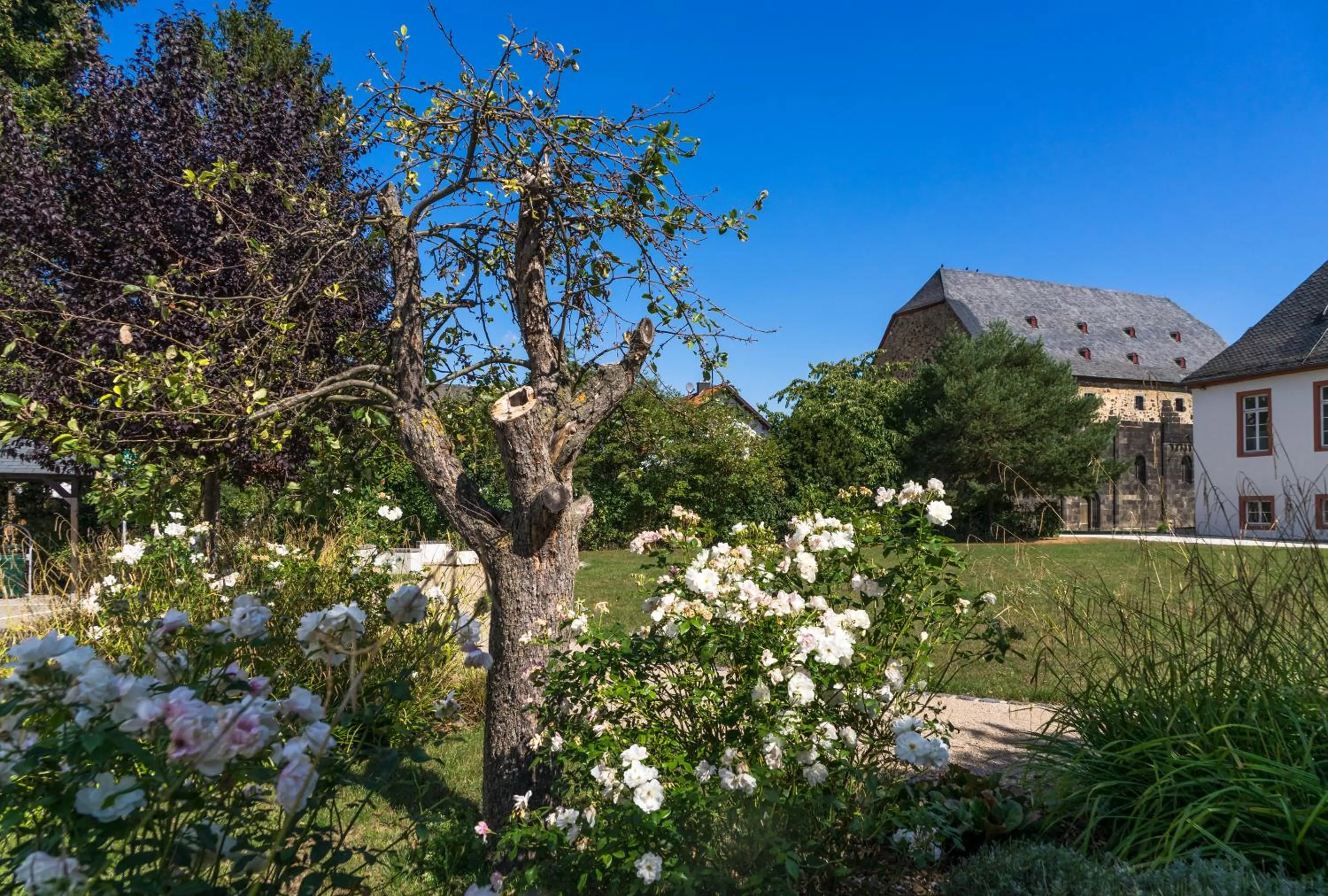 Garden in Johanniterhotel
