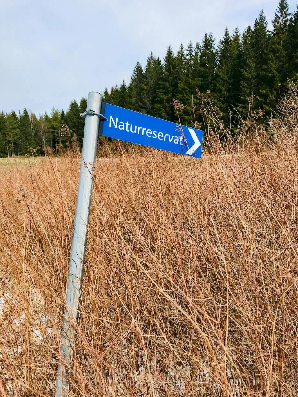 Hiking in Nordic Refuge B&B