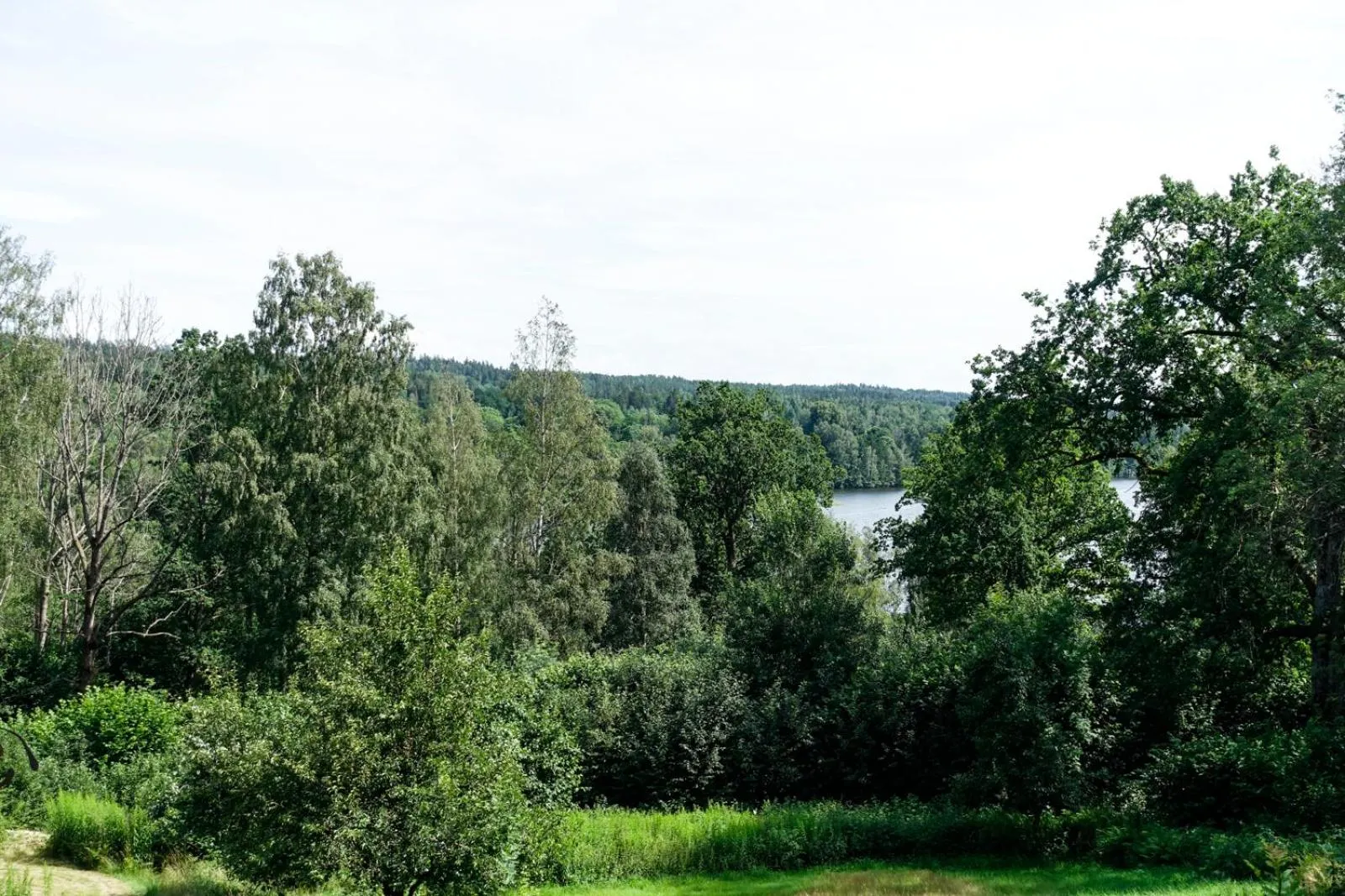 Natural landscape in Nordic Refuge B&B