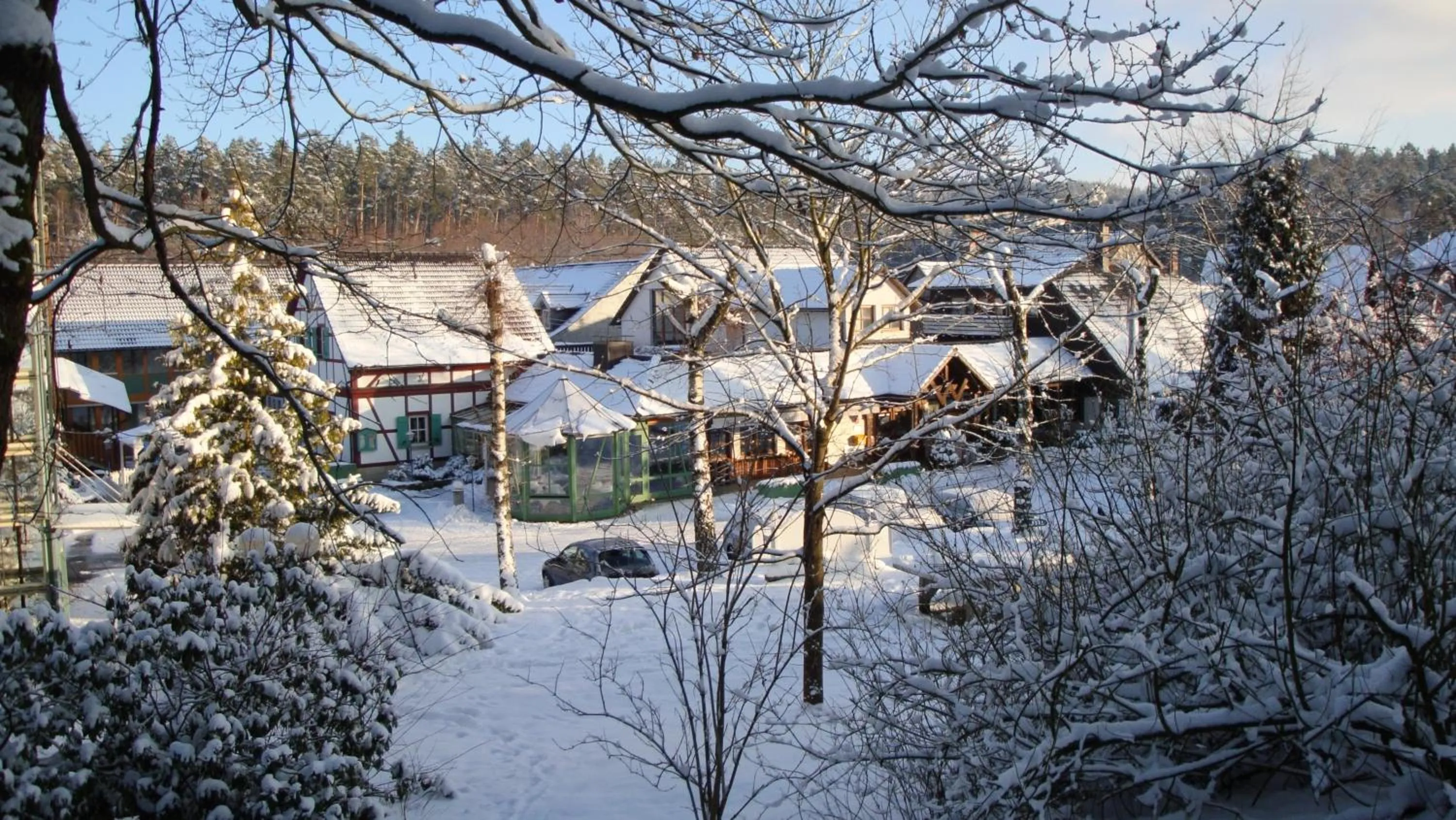 Winter in Waldhotel Bächlein